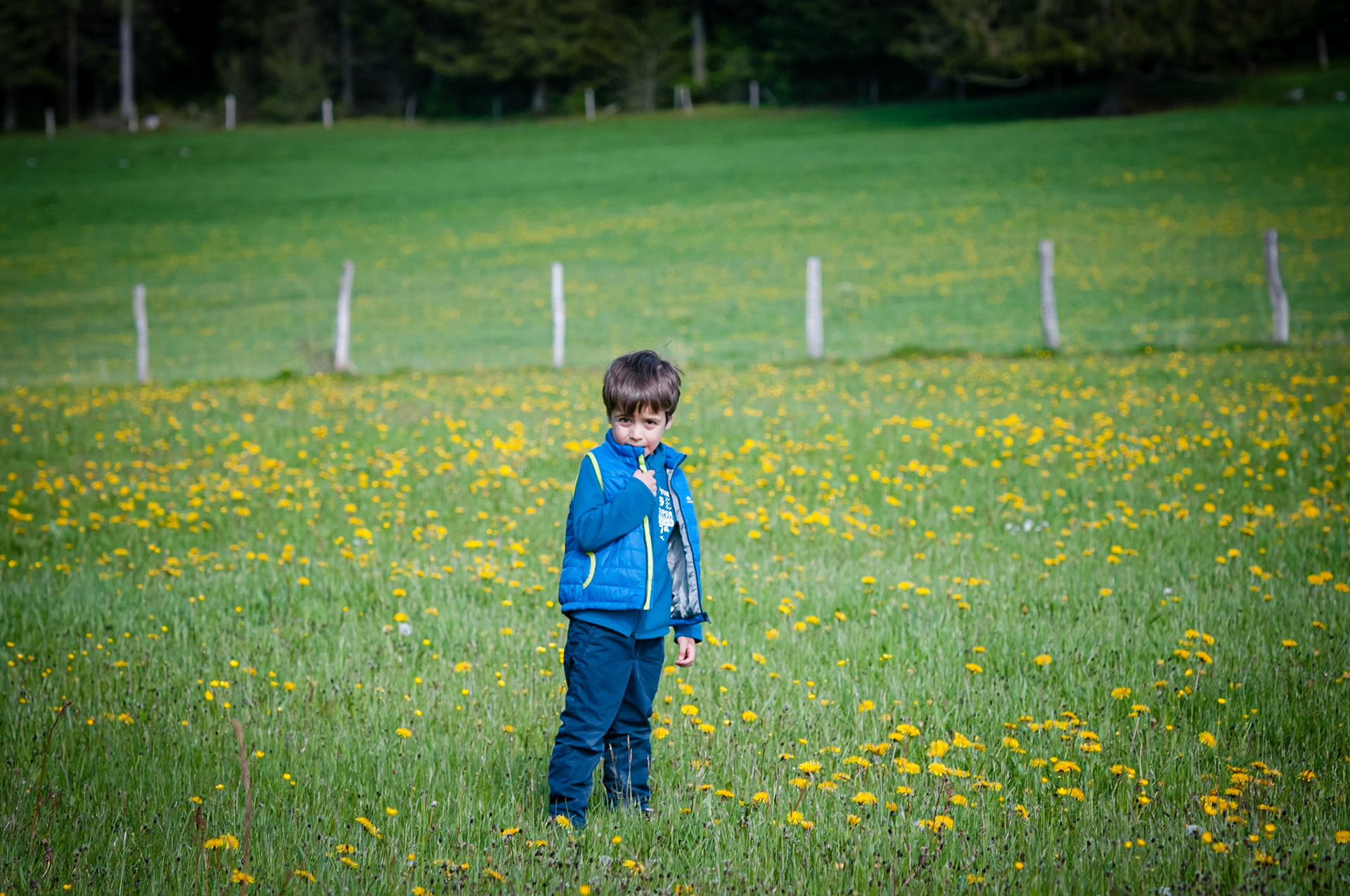 Chambre d'hôtes aux trois sapins, Gilley, France