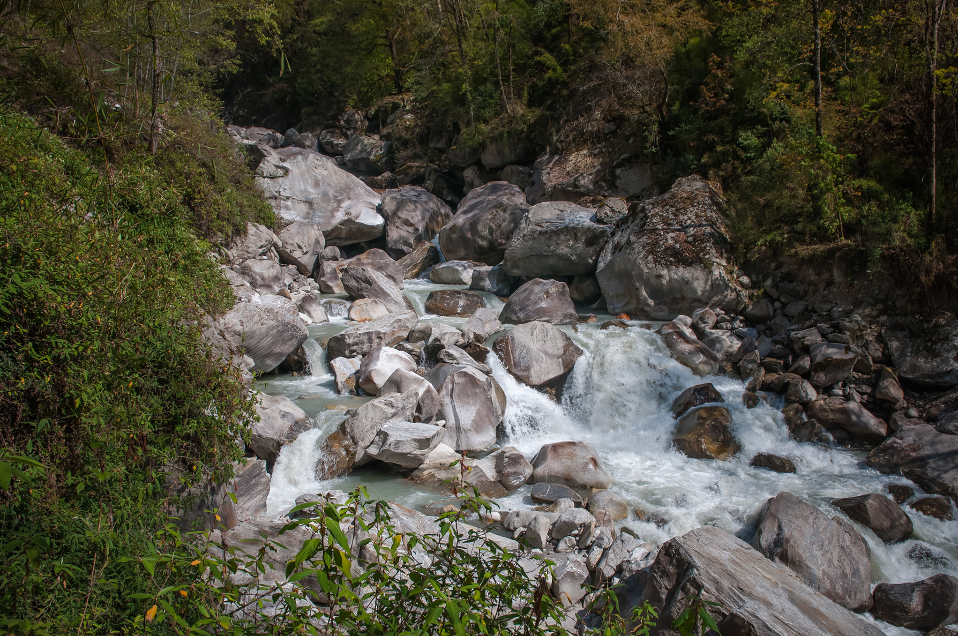 Entre Thulo Syabru (2210m) et Lama Hotel (2410m)