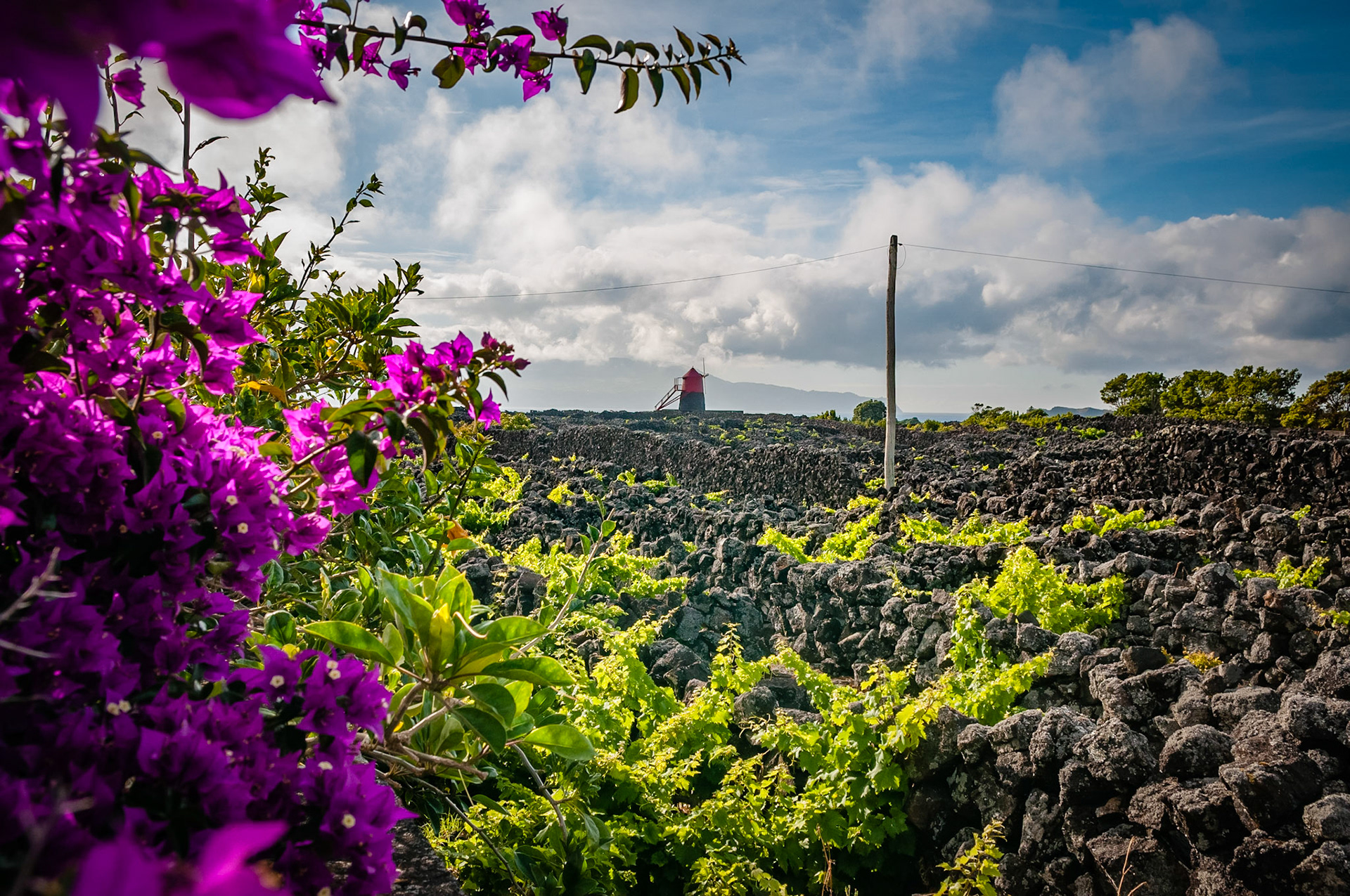 Criaçao Velha, Pico