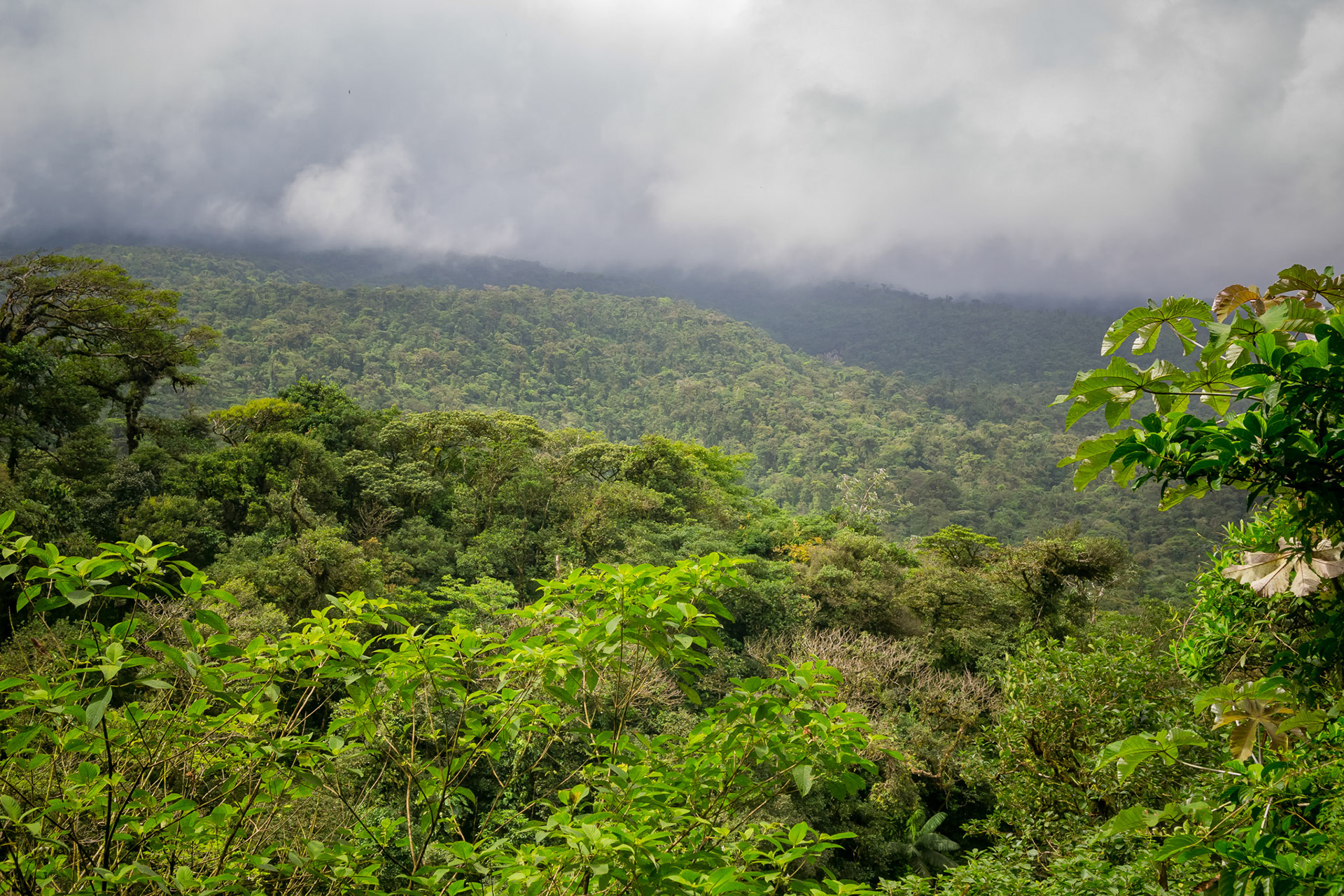 Parque National Volcan Tenorio