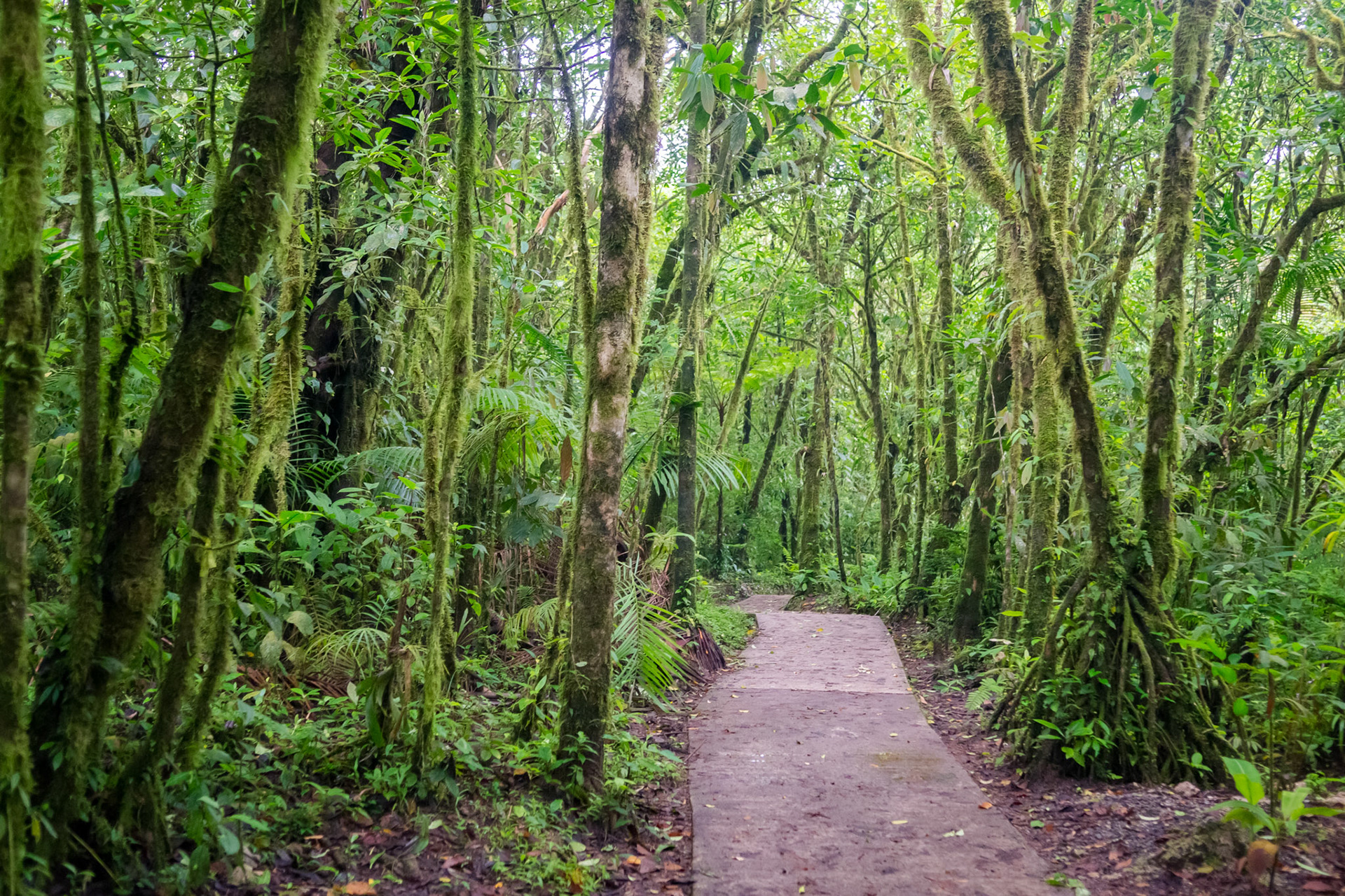 Parque National Volcan Tenorio