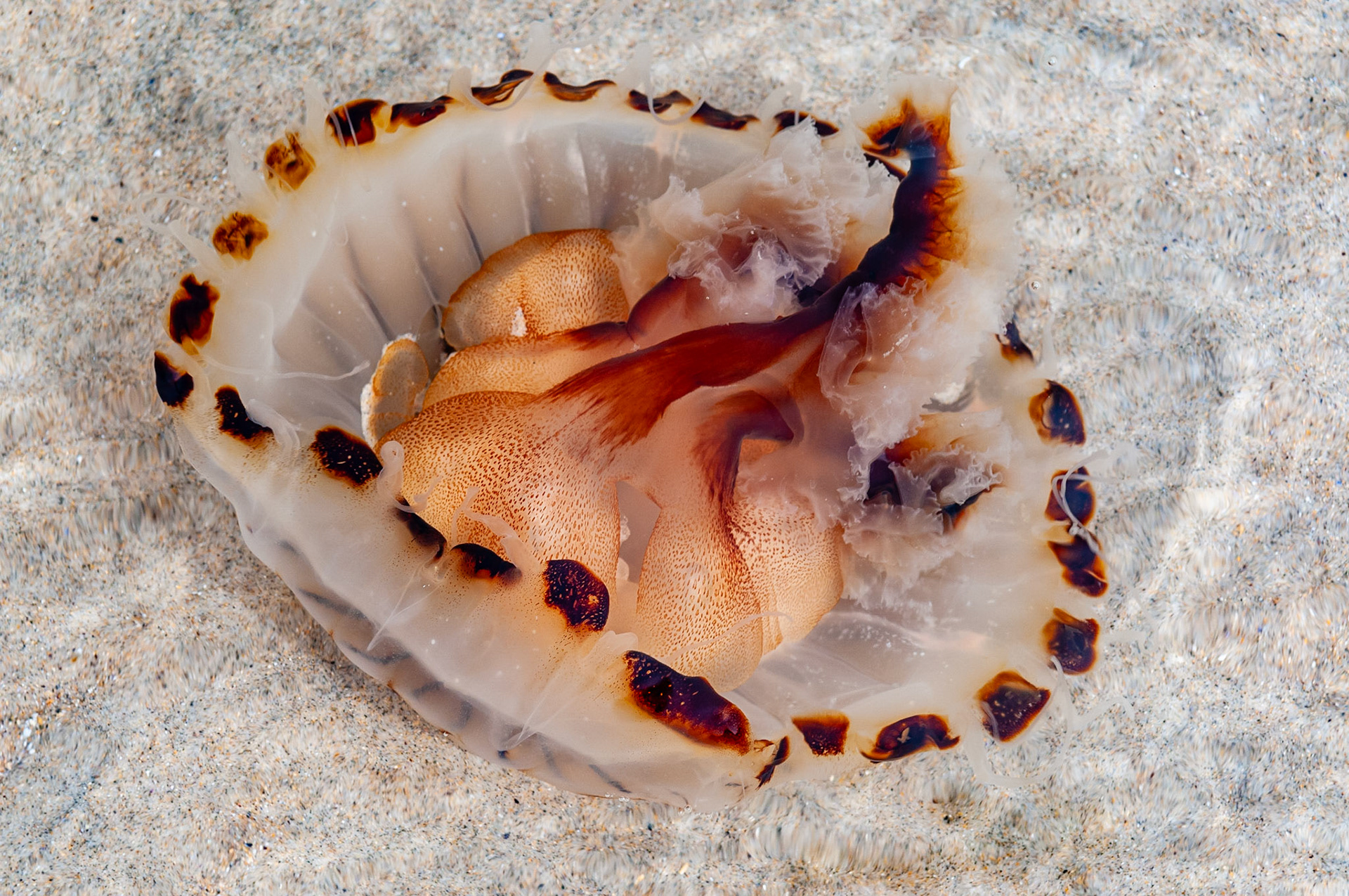Maghera beach, County Donegal