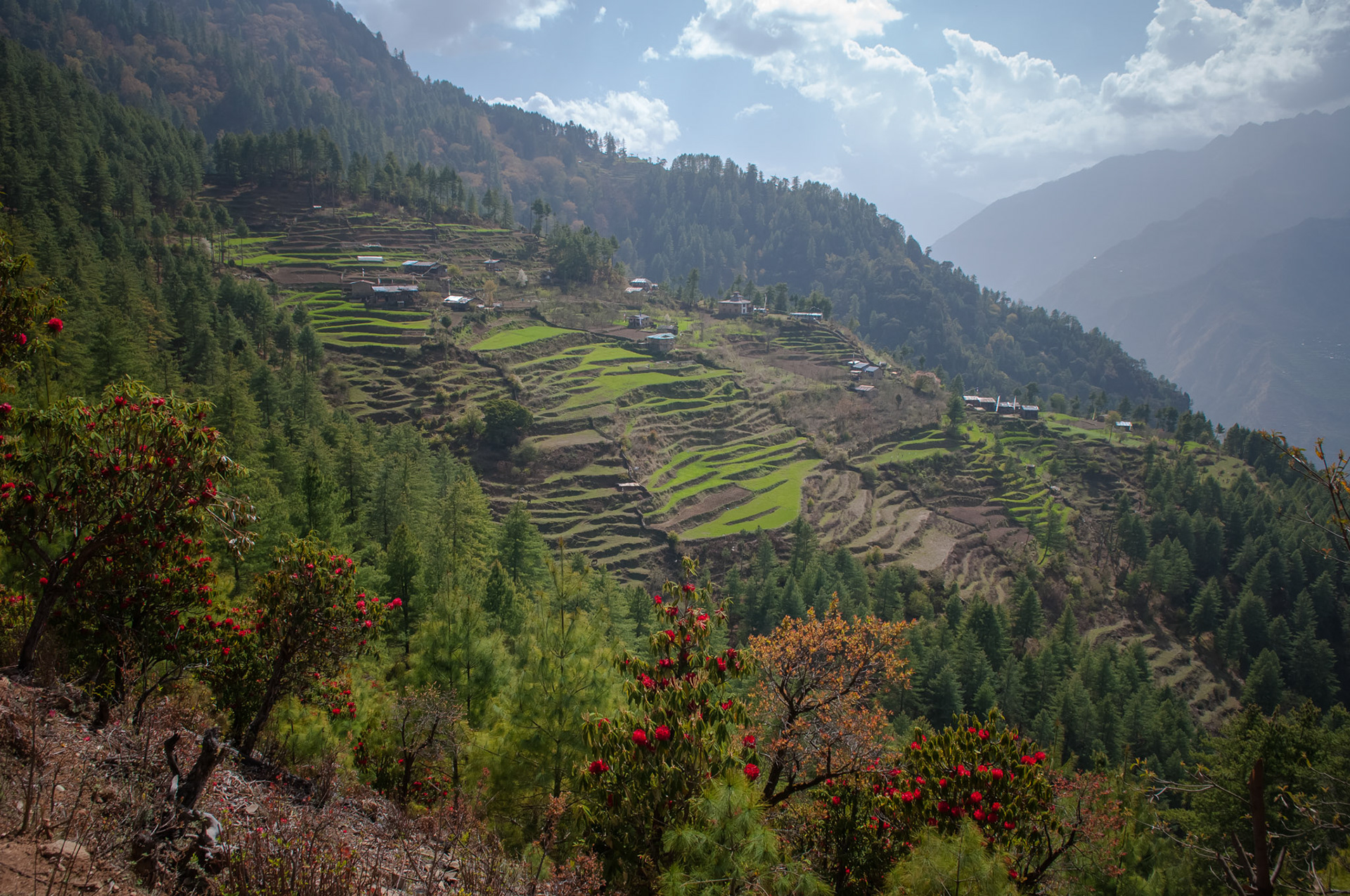 Entre Dhunche (1960m) et Thulo Syabru (2210m)