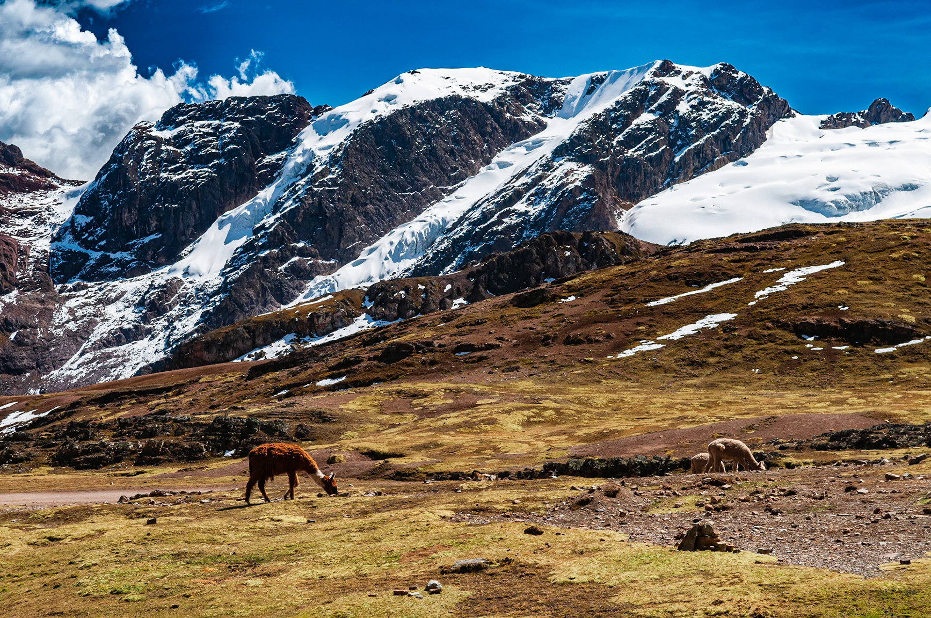 Rainbow Mountain, Vinicunca