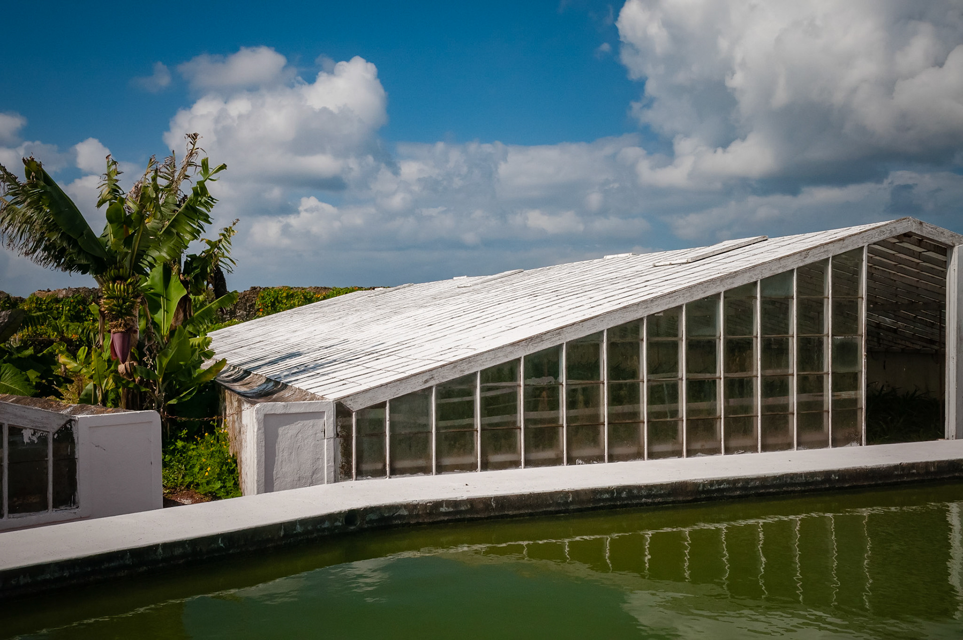 Plantation Ananas Augusto Arruda, Fajã do Baixo, São Miguel