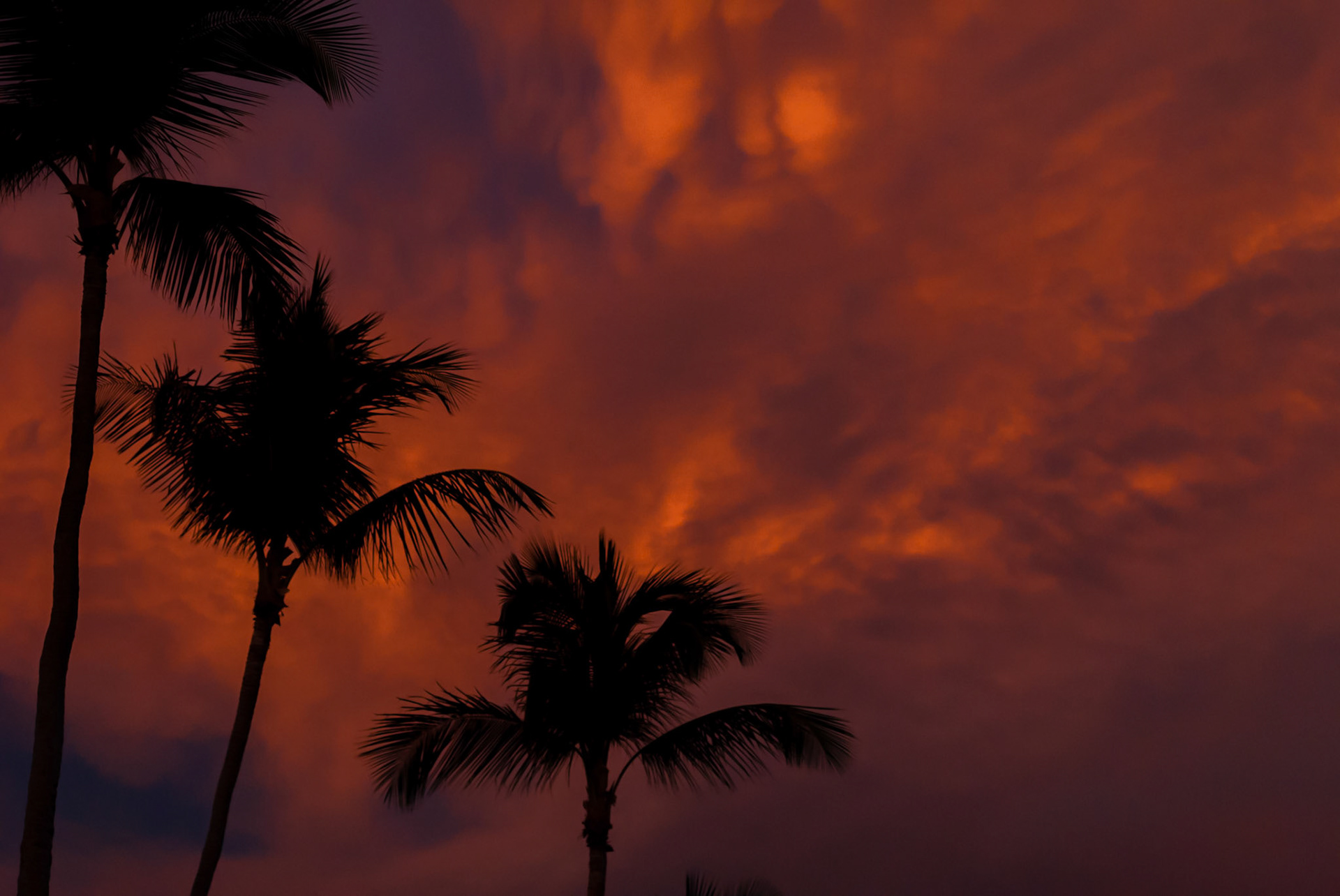 Club Med Punta Cana, République Dominicaine