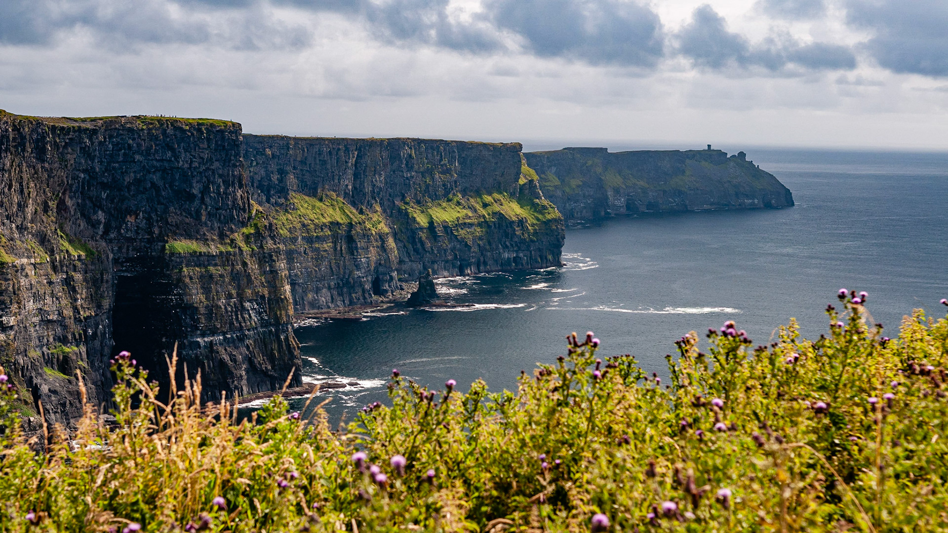 Cliffs of Moher, County Clare