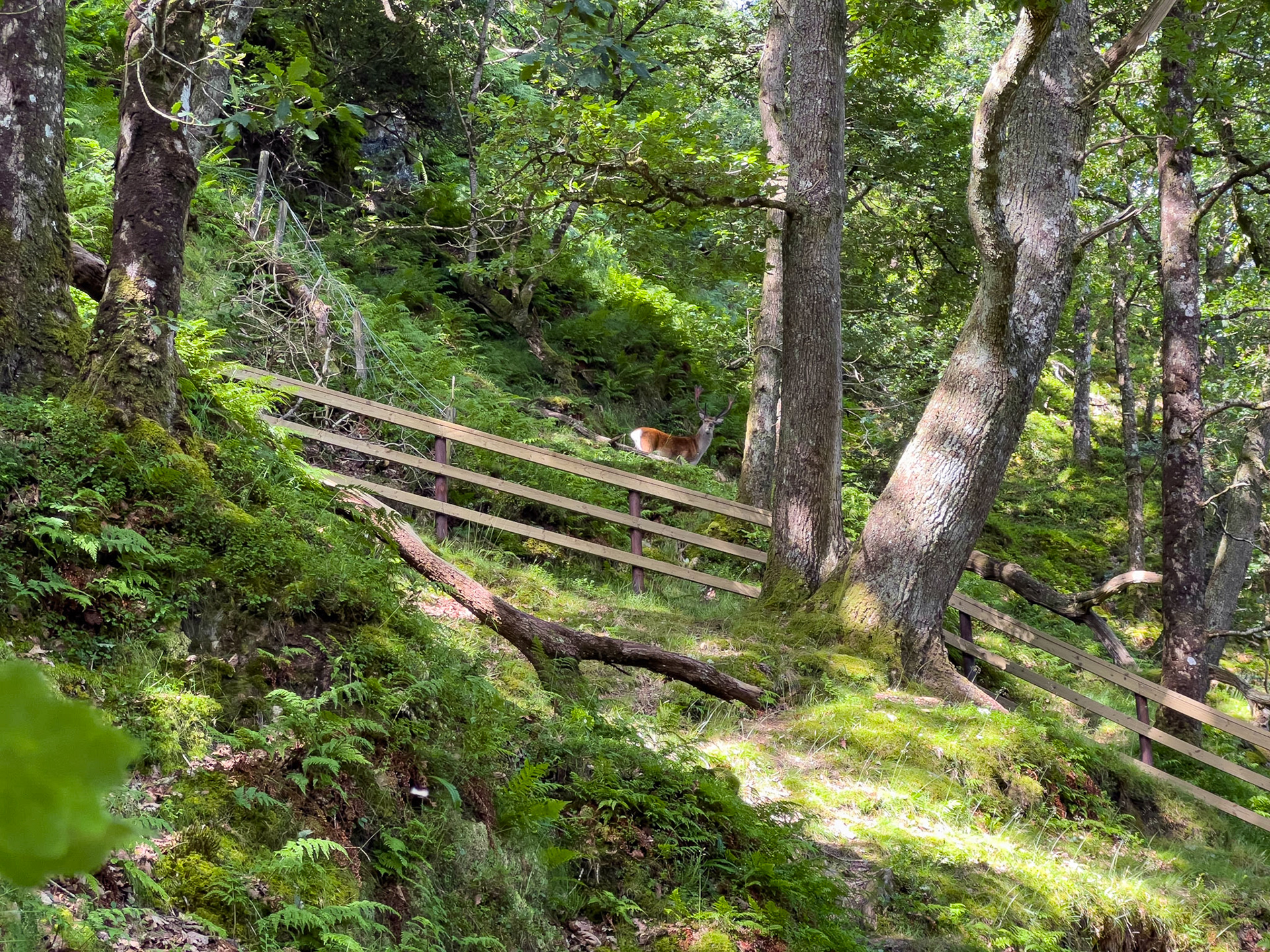 Glendalough, County Wicklow
