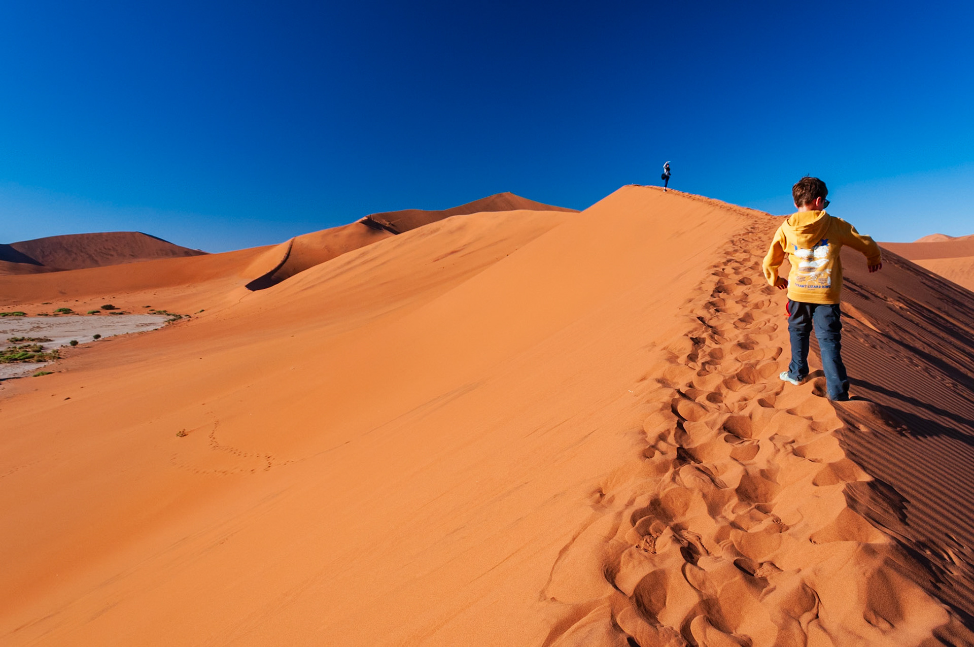 Dead Vlei, Sossusvlei