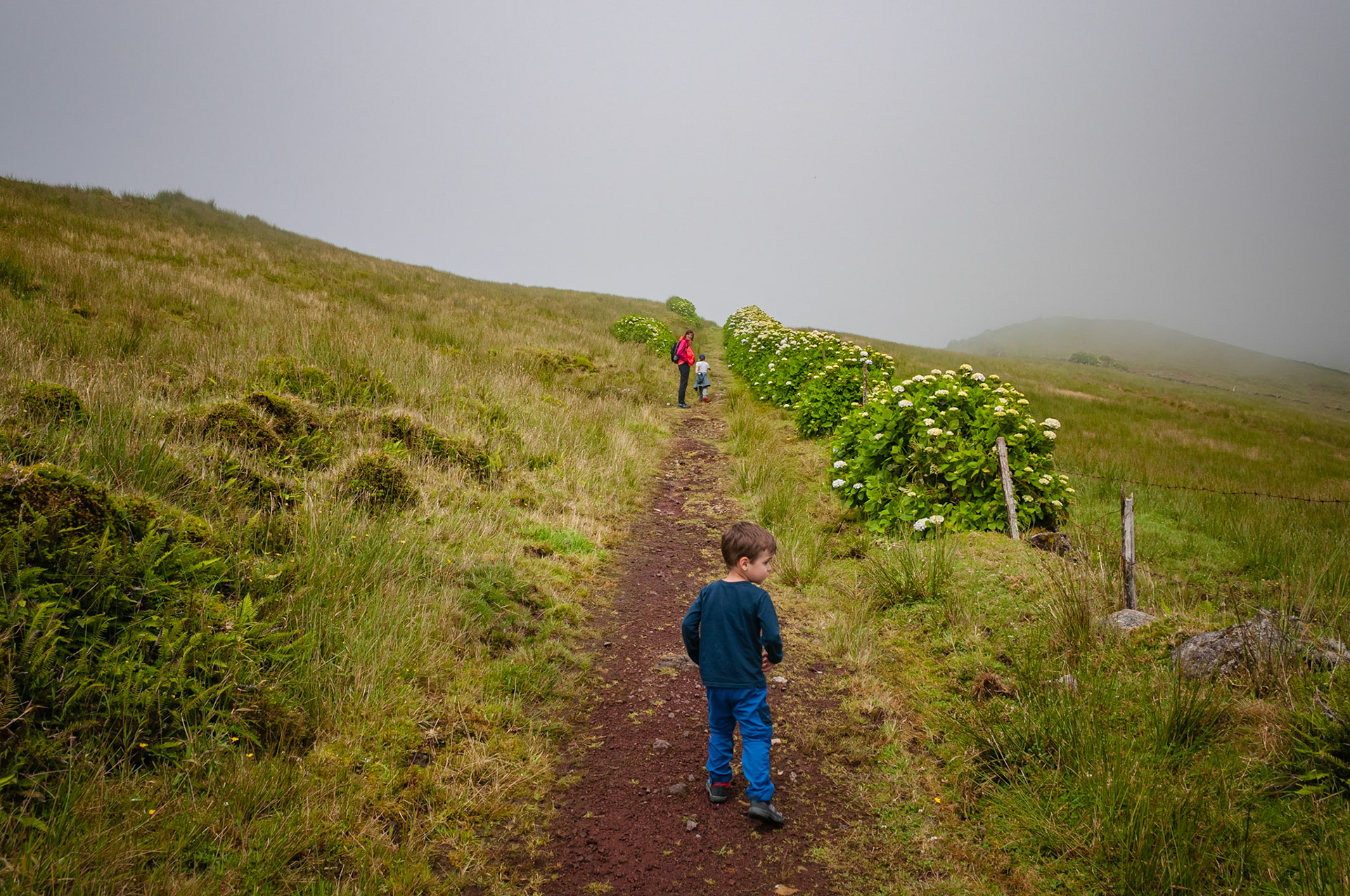 Trail Serra do Topo - Caldeira do Santo Cristo – Fajã dos Cubres, São Jorge