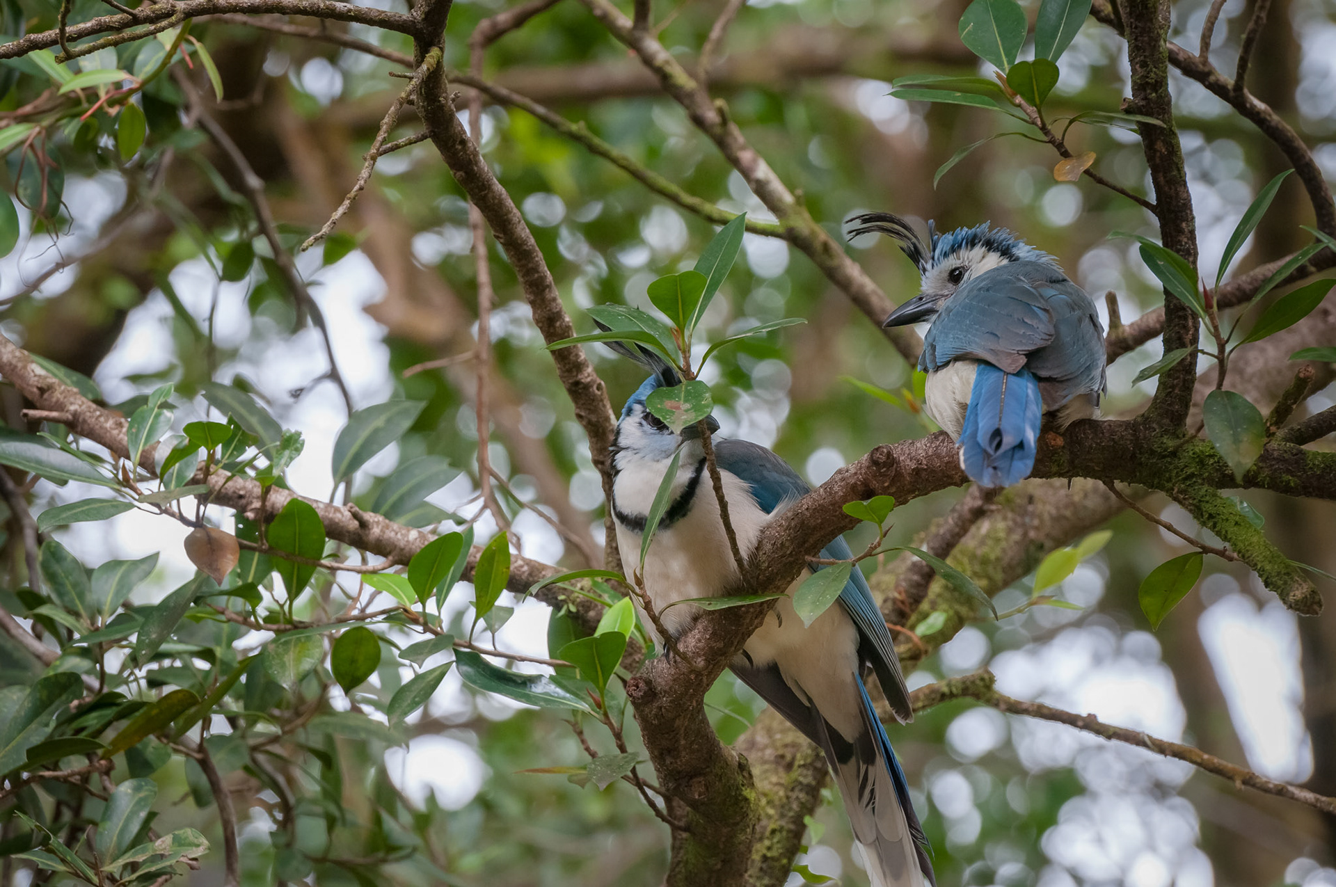 Parque National Volcan Arenal