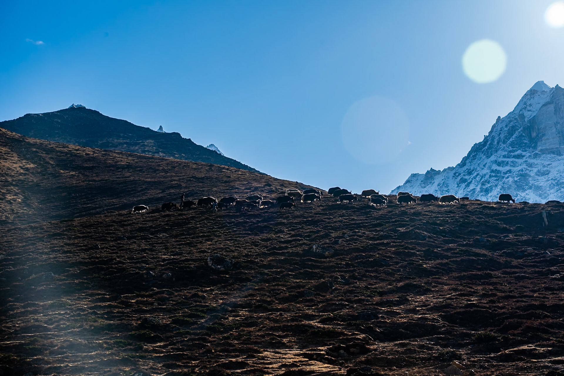 Day 9 - Lumden (4'370 m) to Namche Bazaar (3'446 m)