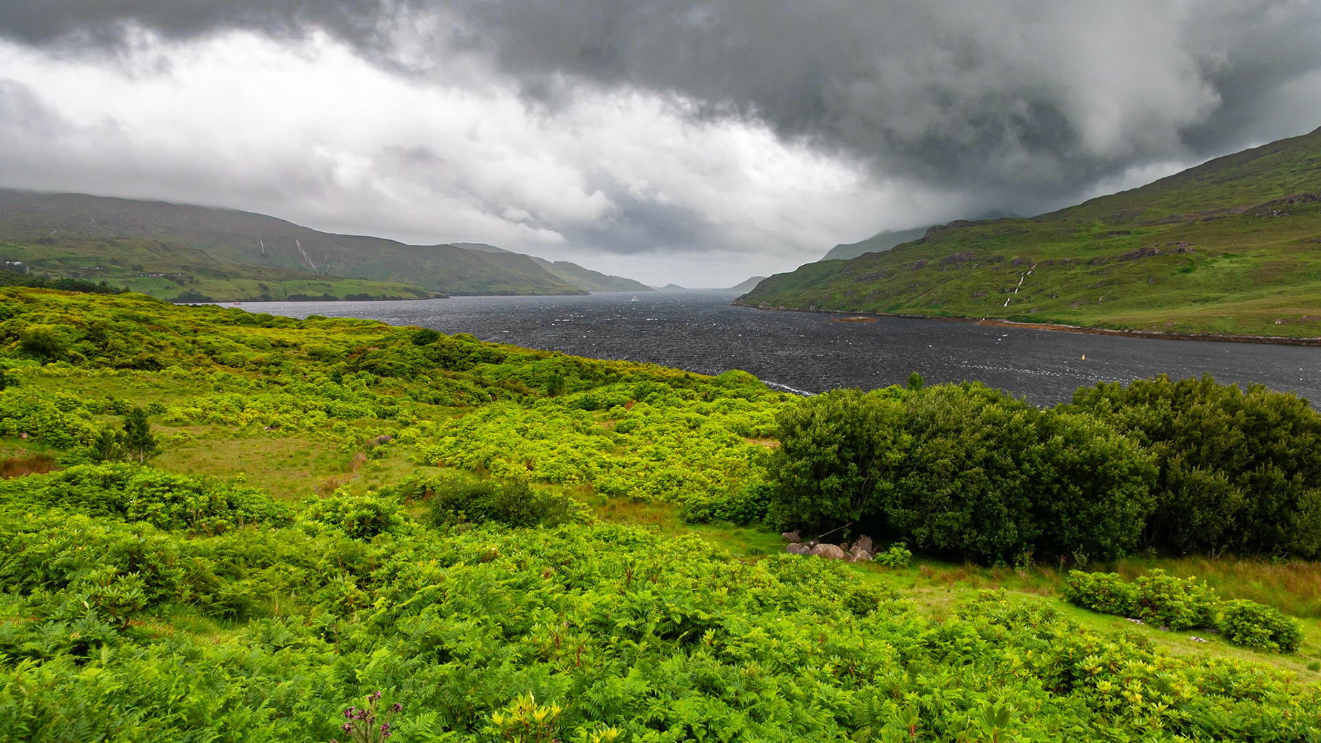 Killary Fjord, County Galway