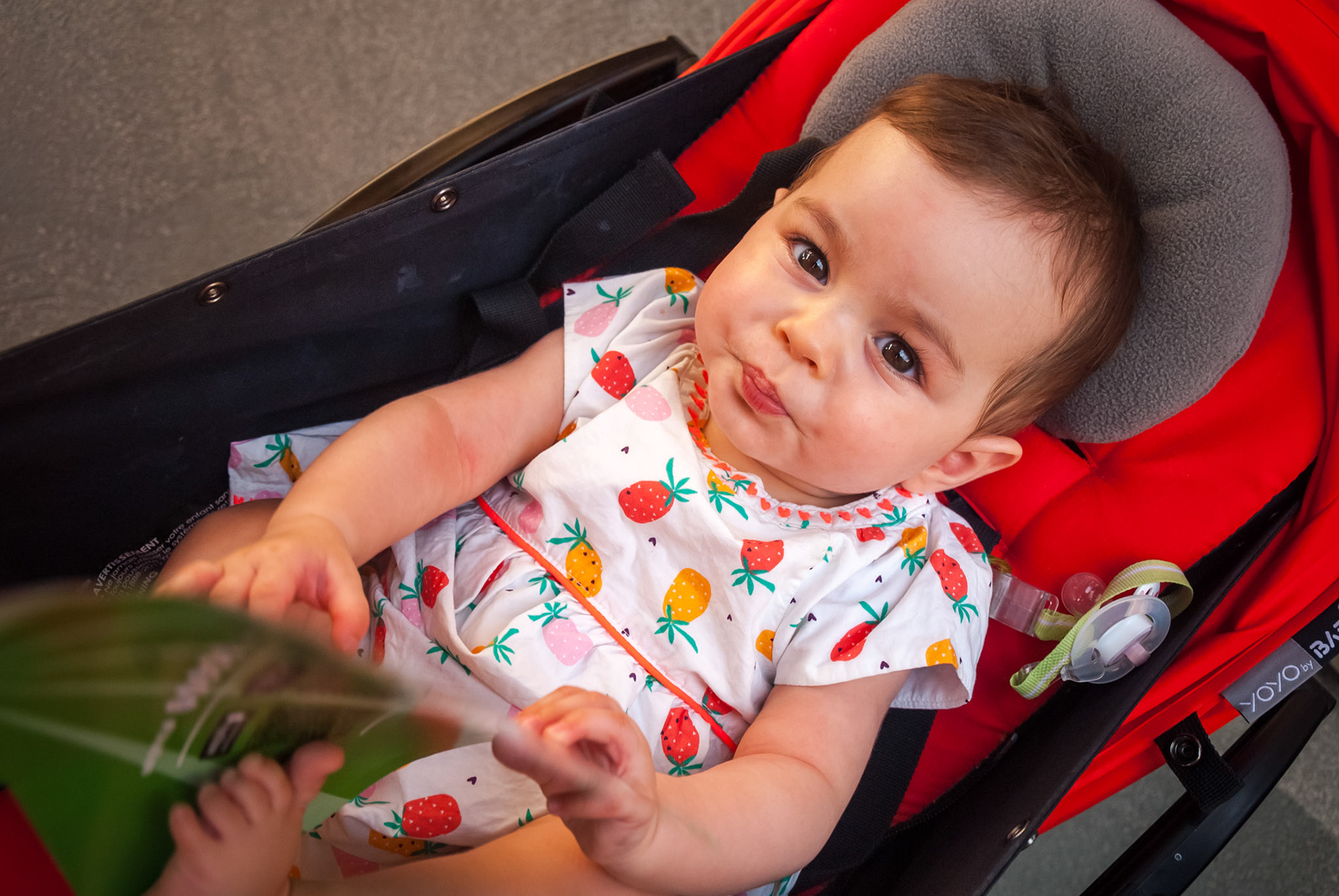 Expo Milano 2015, Milan