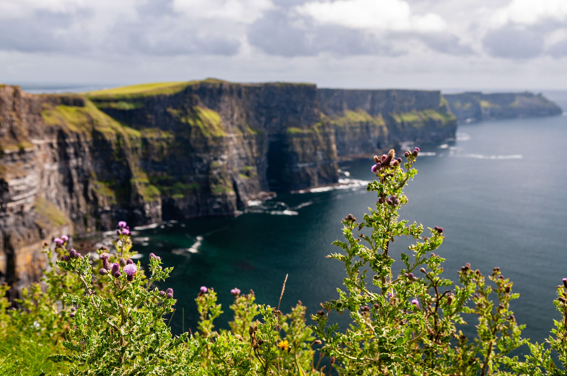 Cliffs of Moher, County Clare