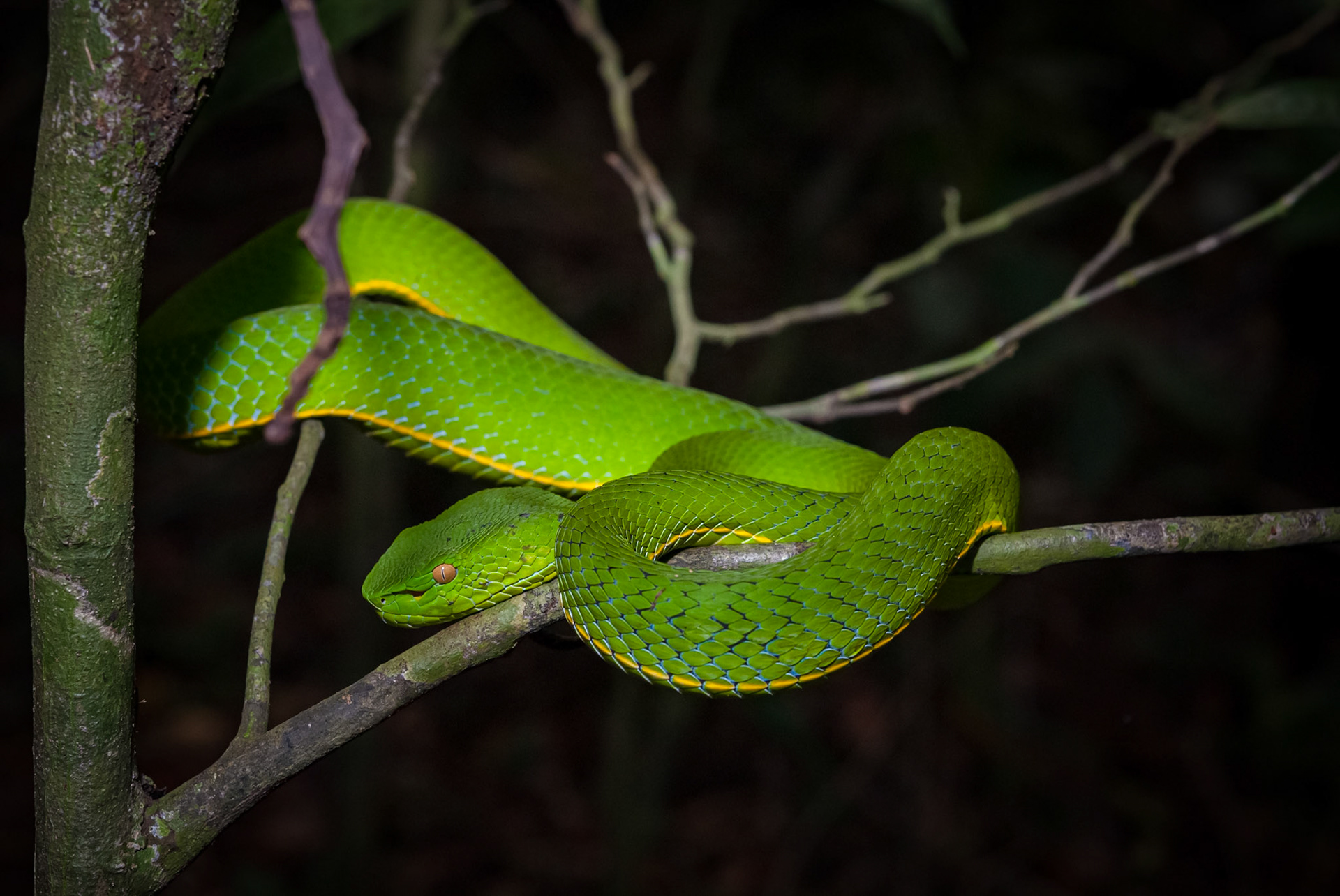 Khao Yai National Park