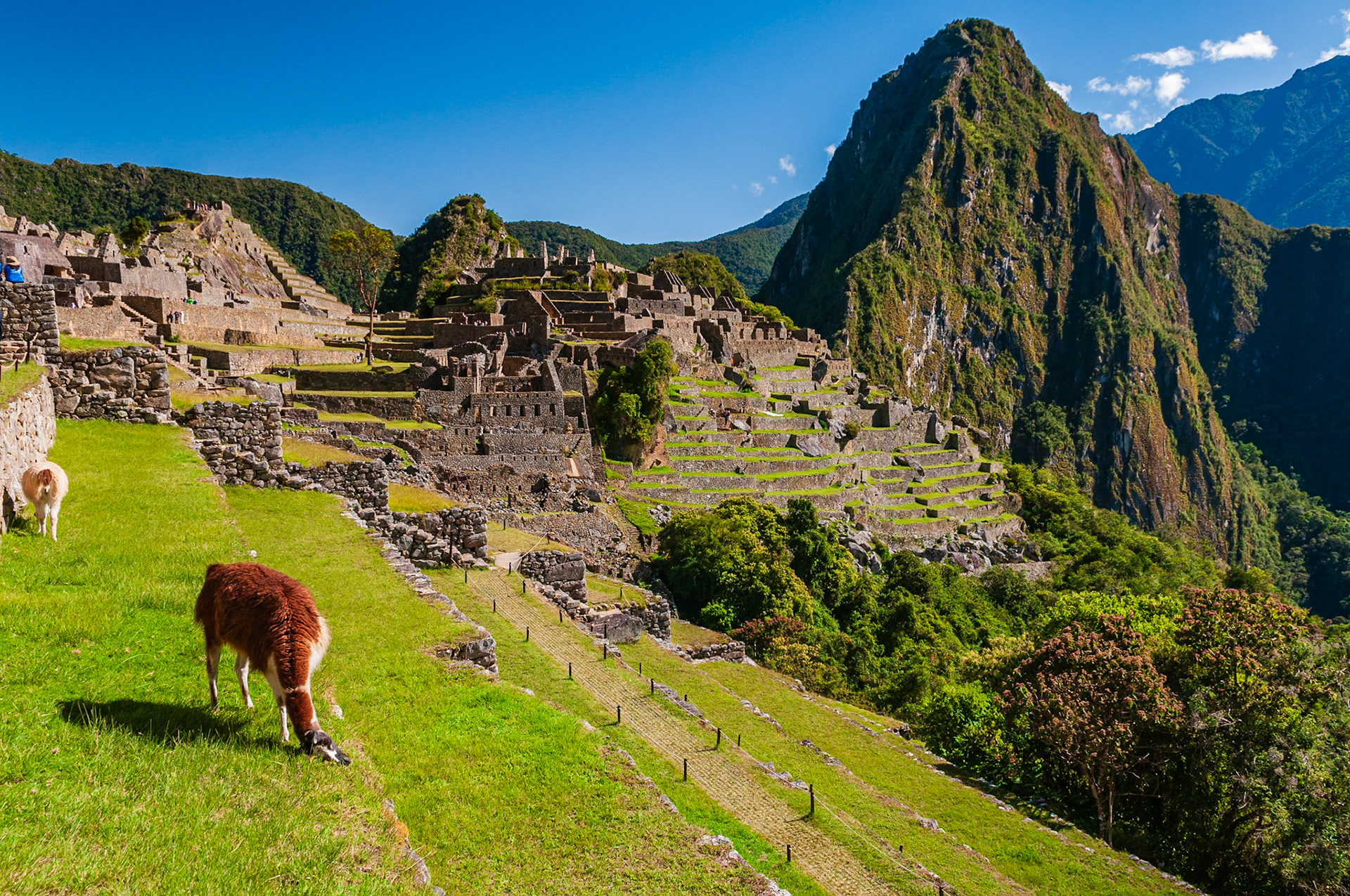 Machu Picchu