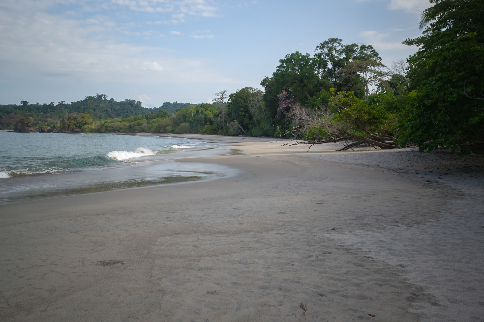 Parque Nacional Manuel Antonio