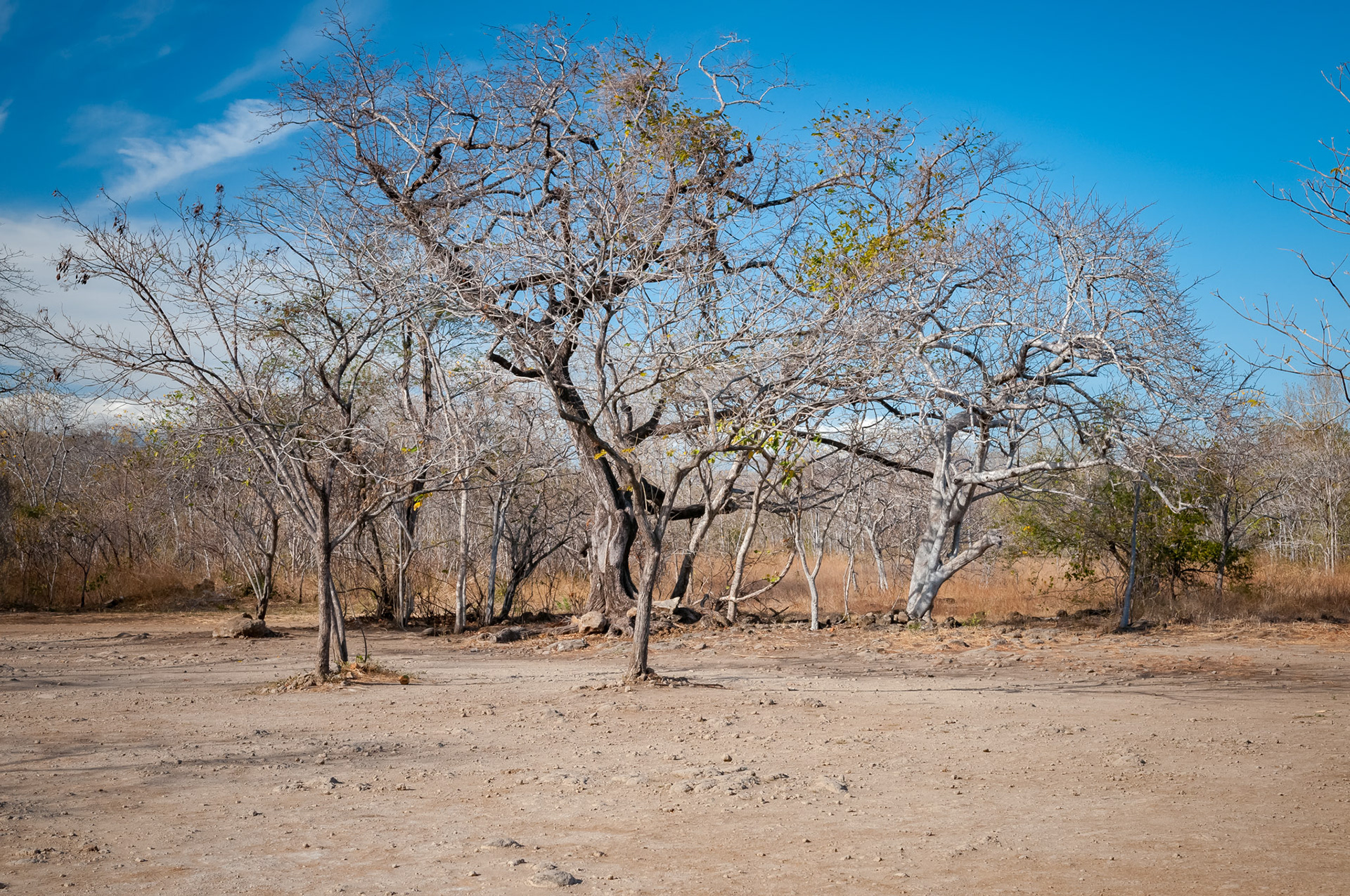Entre Tenorio et Miravailles