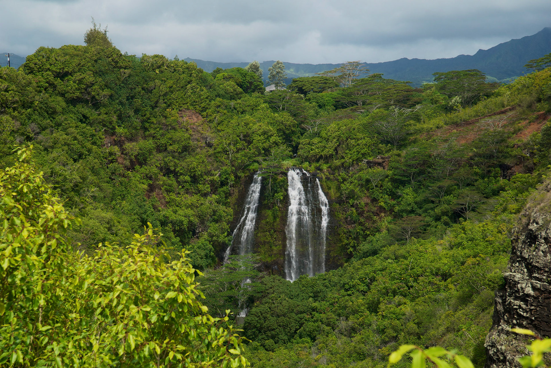 Opaeka's Falls, Kauai