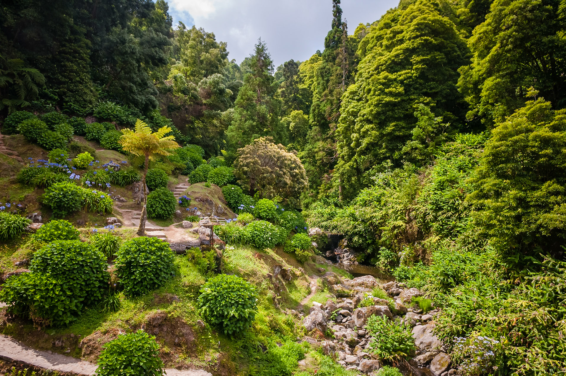 Parque da Ribeira dos Caldeirões, São Miguel