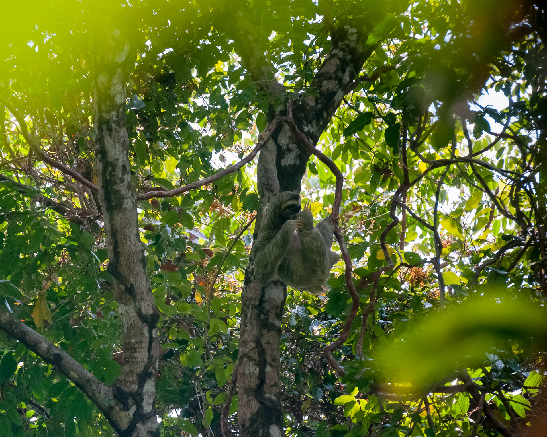 Parque Nacional Manuel Antonio