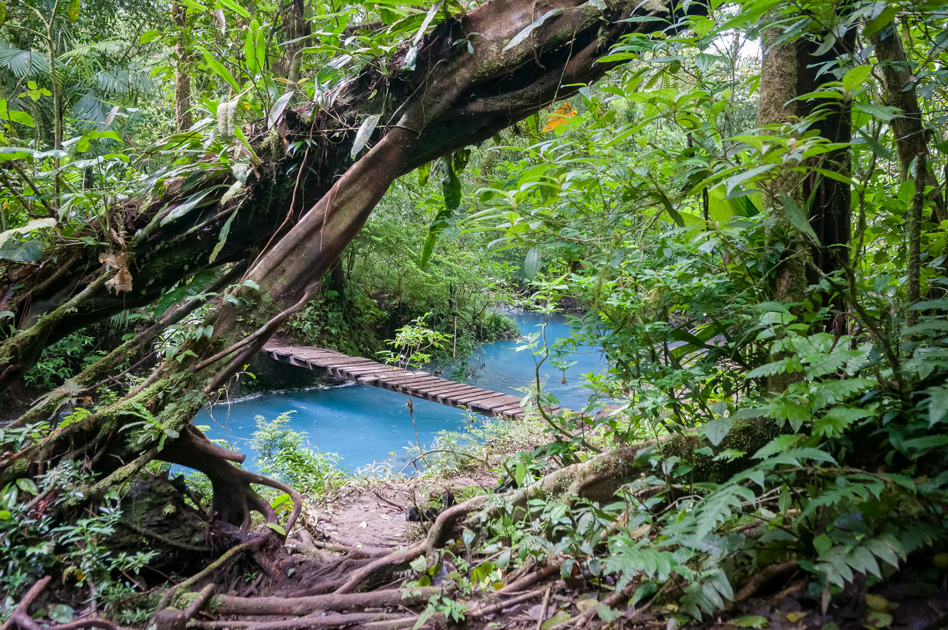 Parque National Volcan Tenorio