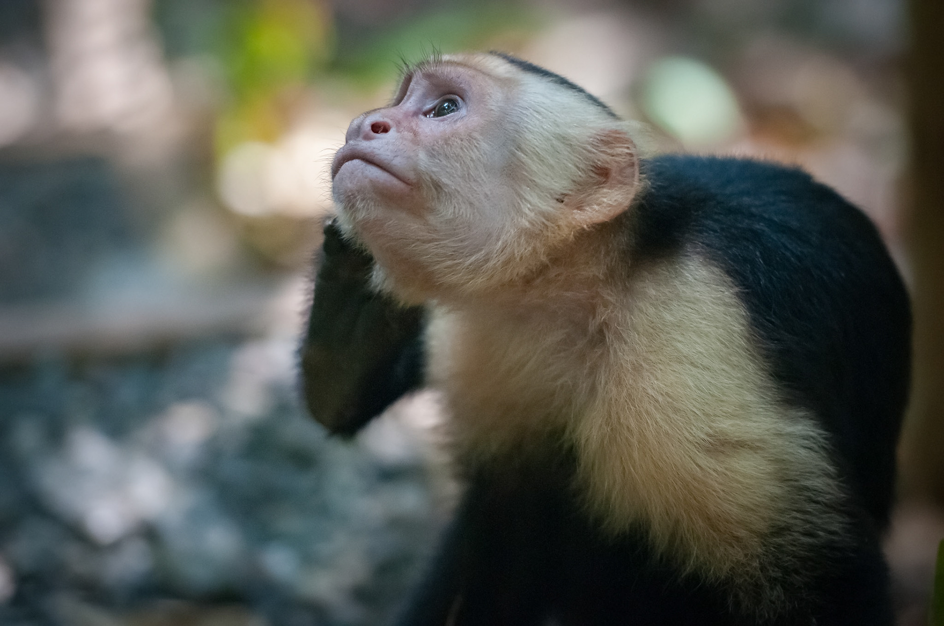 Parque Nacional Manuel Antonio