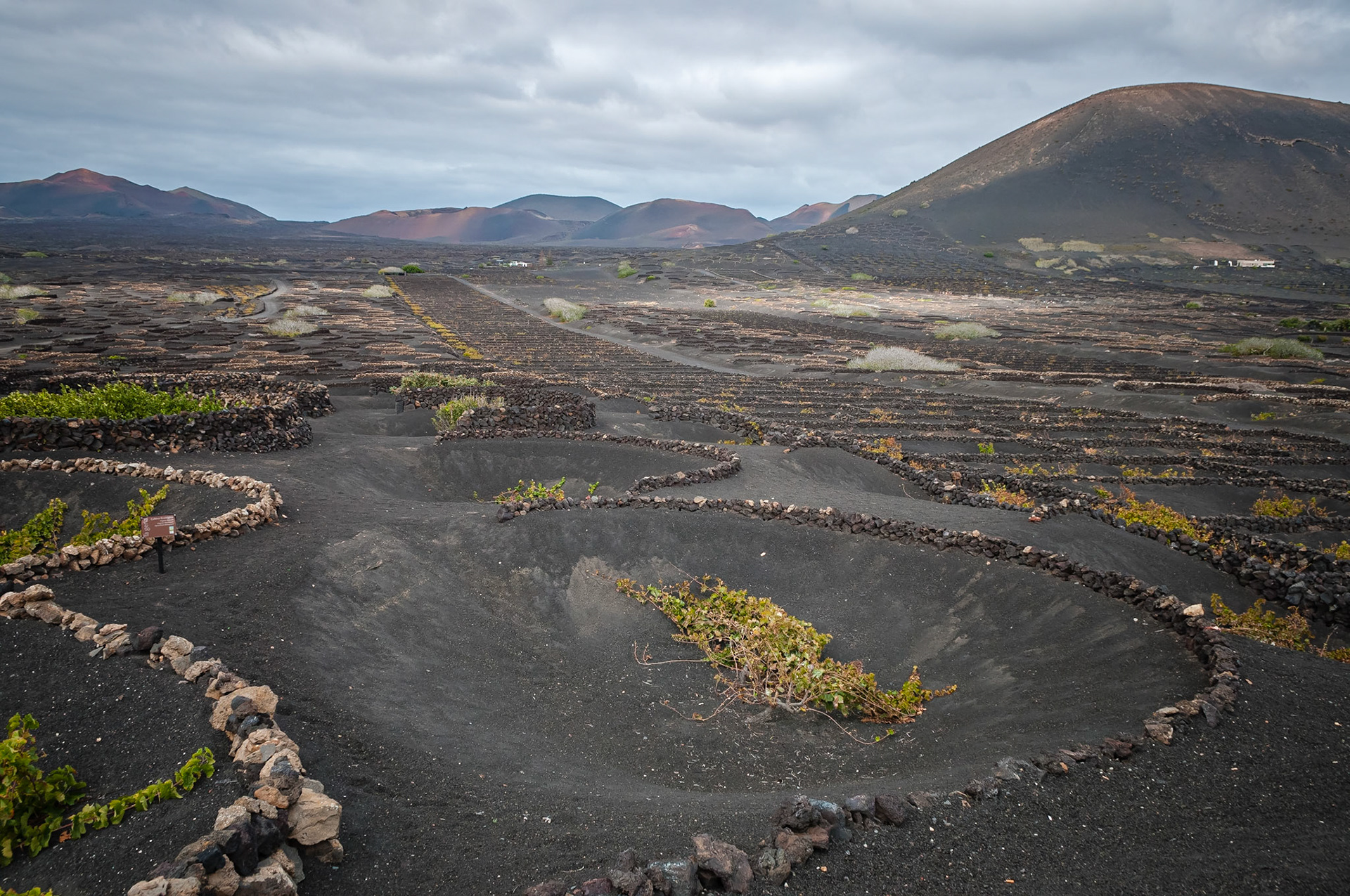 La Geria, Lanzarote
