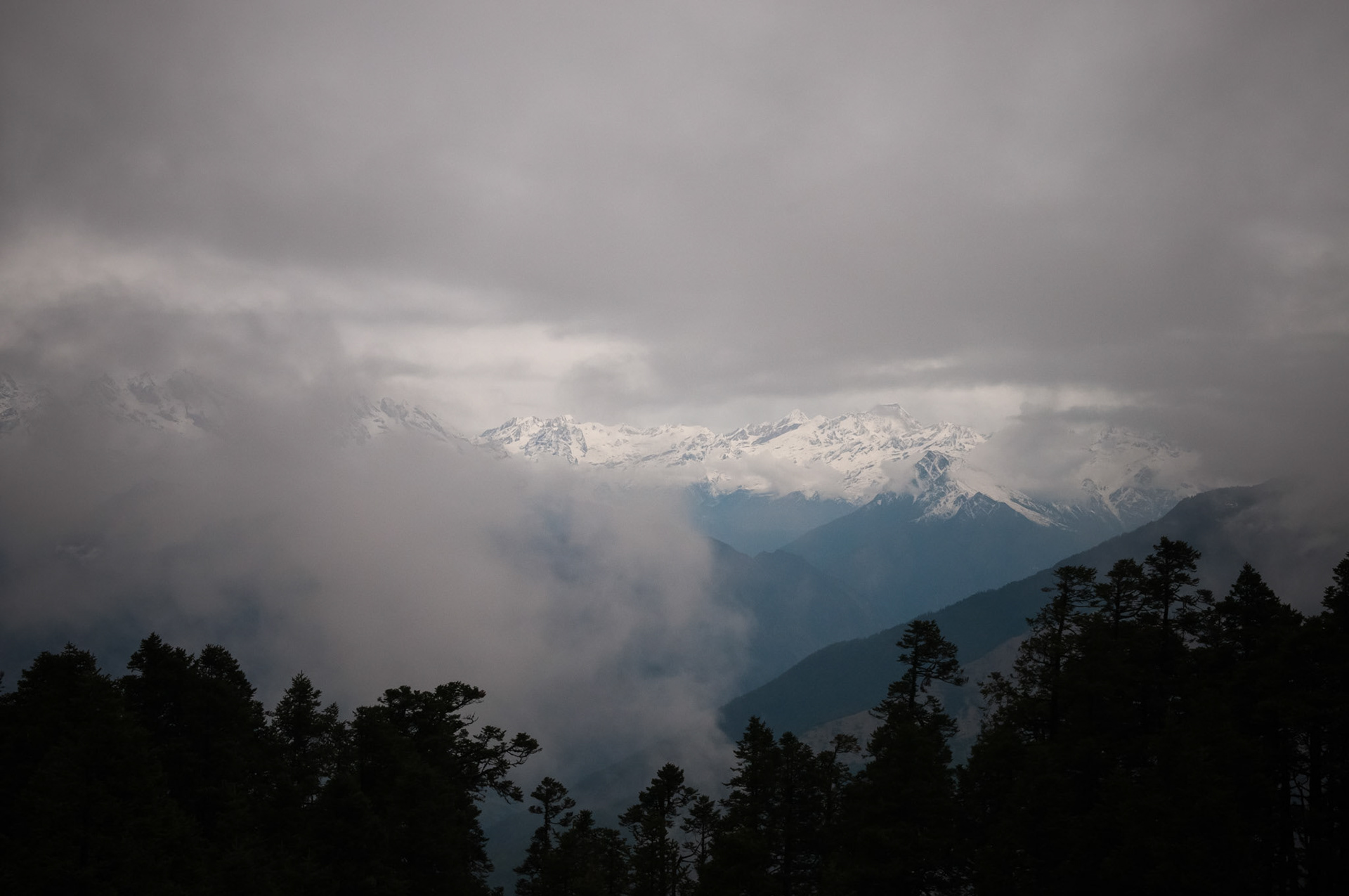 Entre Chandanbari (3330m) et Laurebina (3910m)