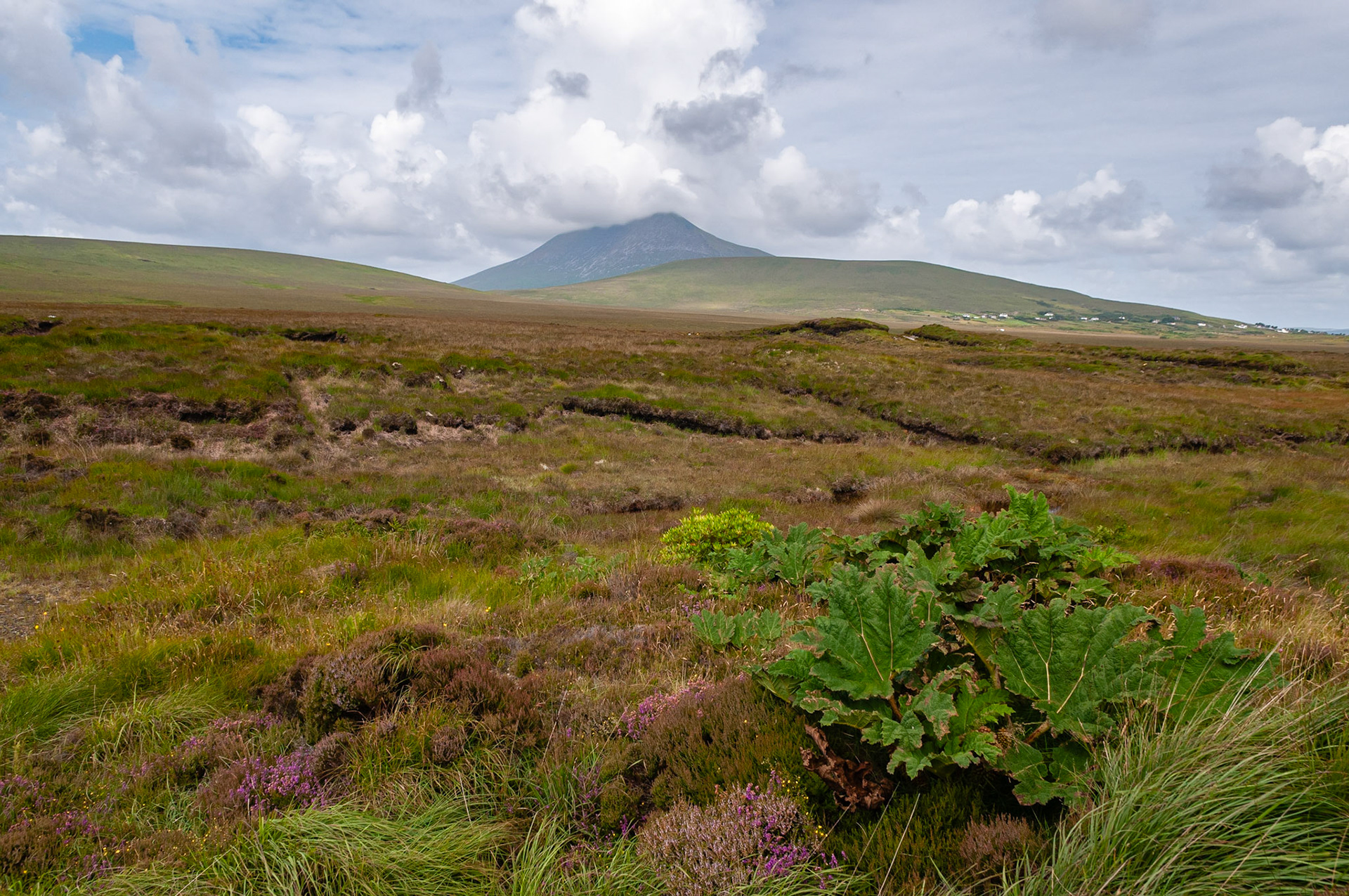 Achilll Island, County Mayo