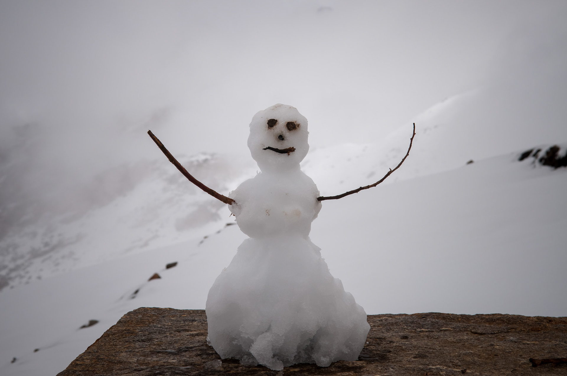 Entre Laurebina (3910m) et Gosaikund Pass (4165m)