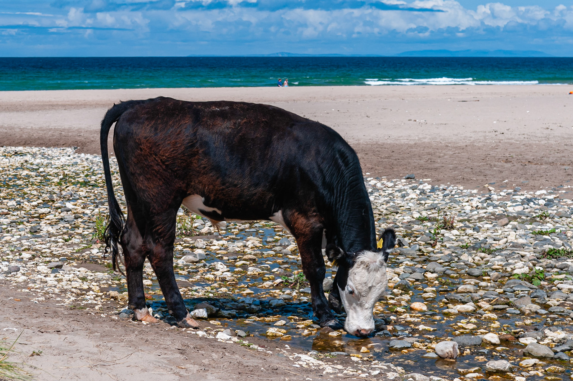 Whitepark Beach, North Ireland