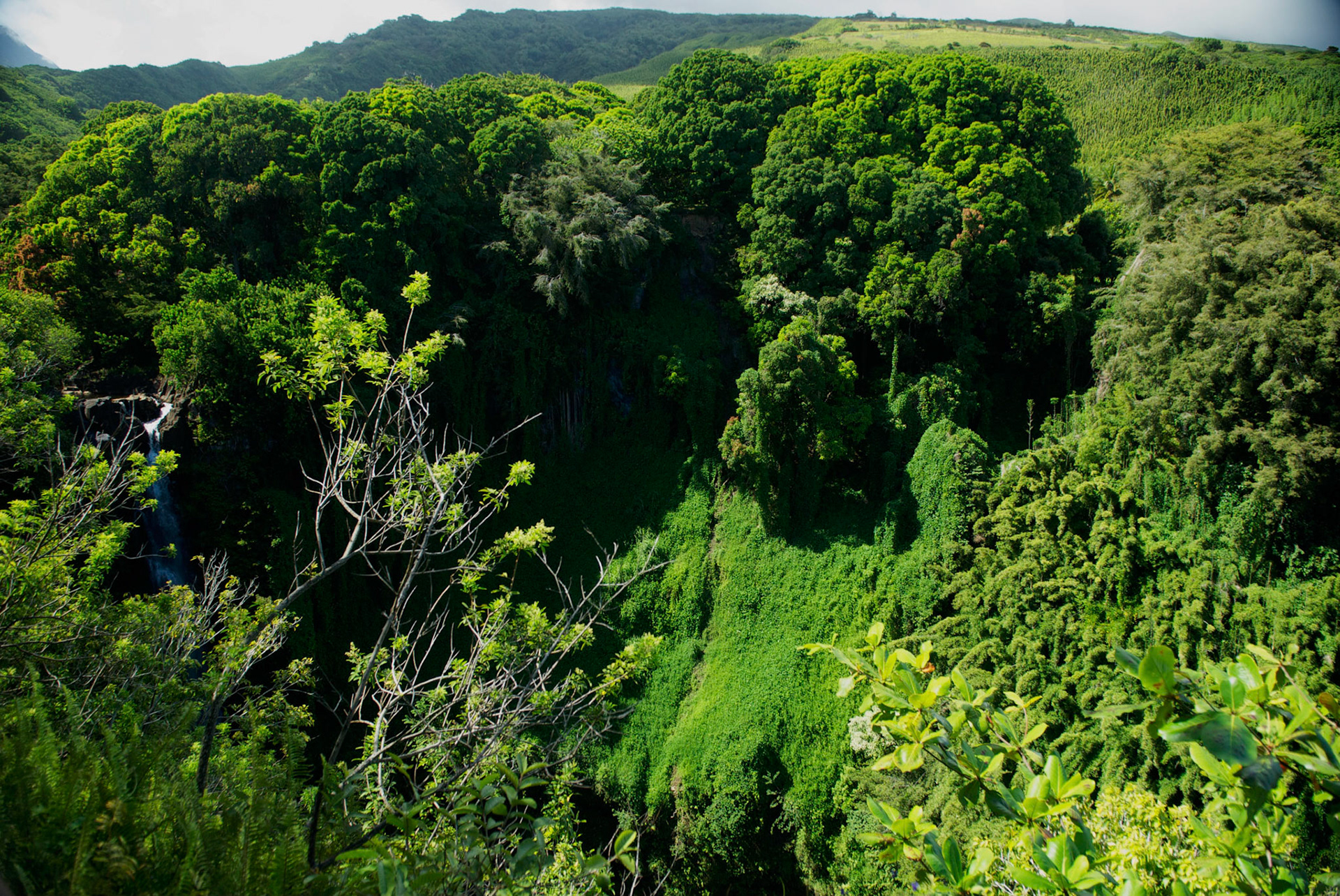 Oheo Gulch of Kipahulu (Seven Pools), Hana Road, Maui