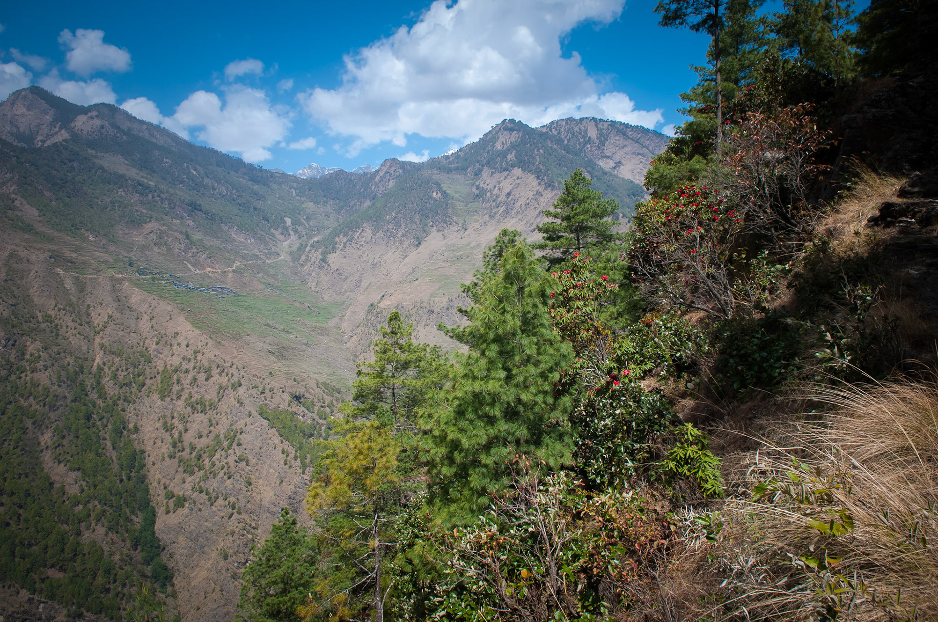 Entre Dhunche (1960m) et Thulo Syabru (2210m)