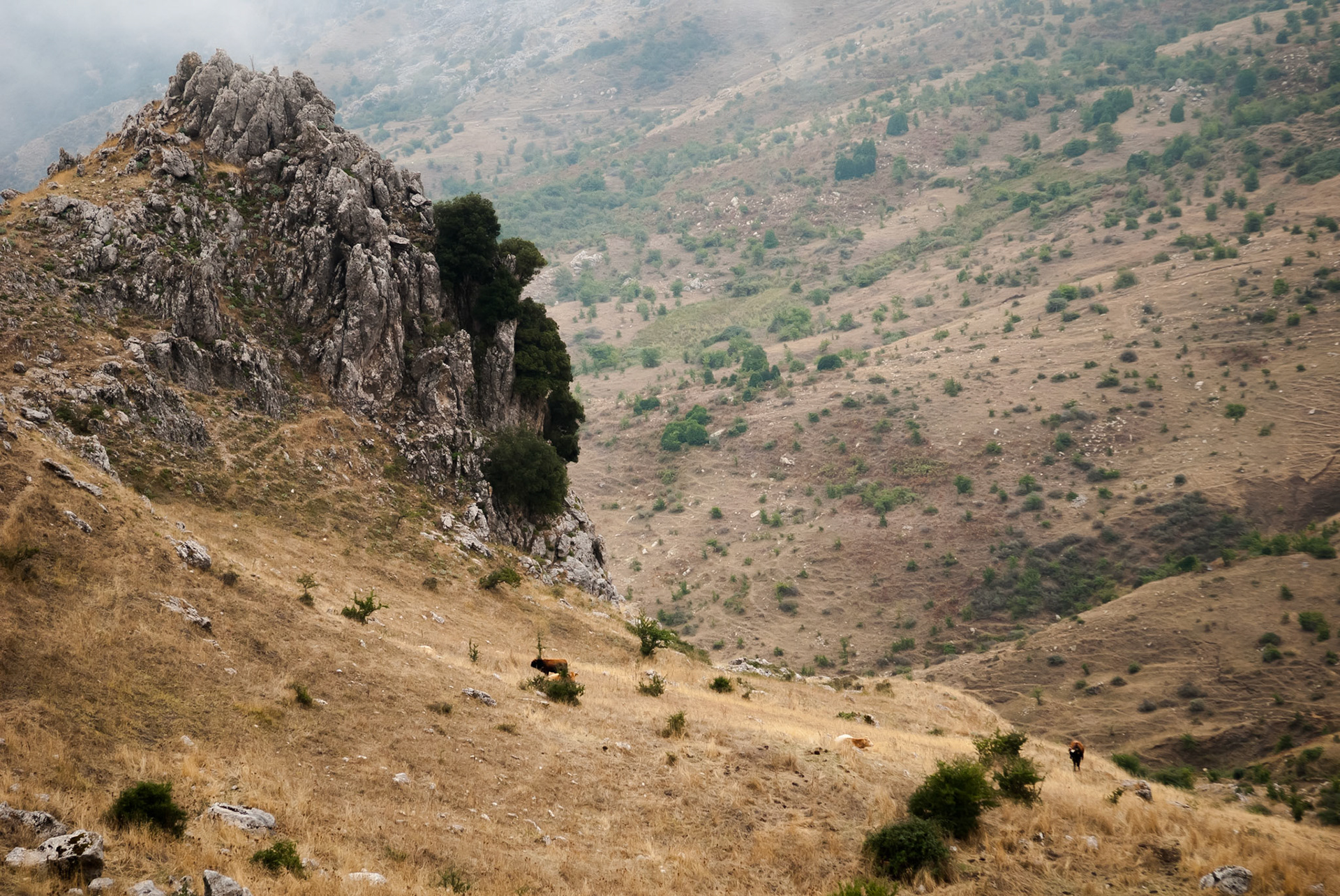 Parc Naturel Régional des Madonie