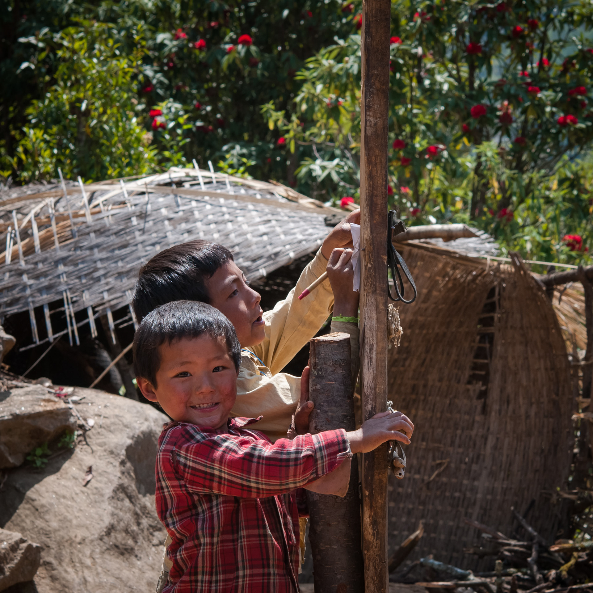 Entre Lama Hotel (2410m) et Thulo Syabru (2210m)