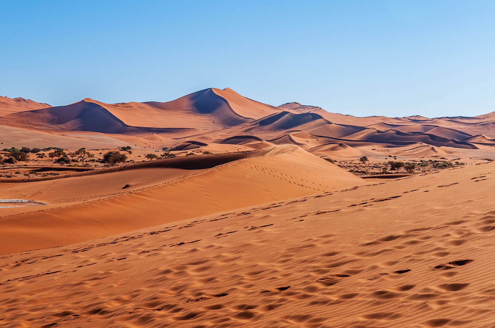 Dead Vlei, Sossusvlei