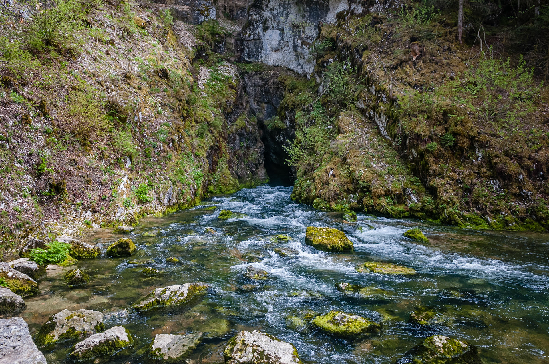 Source du Doubs, France