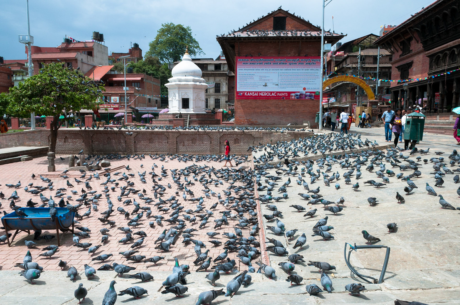 Temple hindou de Pashupatinath, Kathmandou