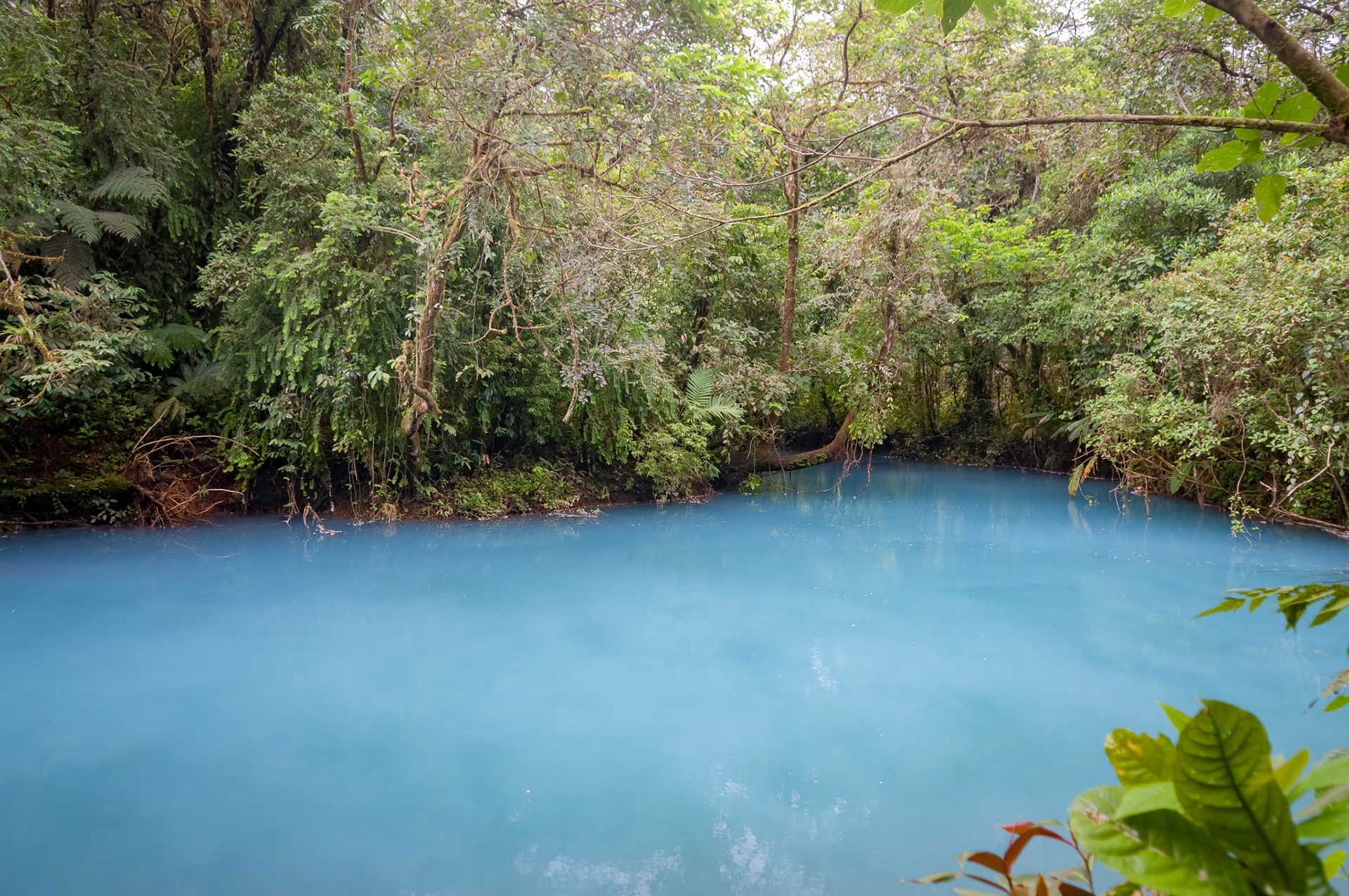 Parque National Volcan Tenorio