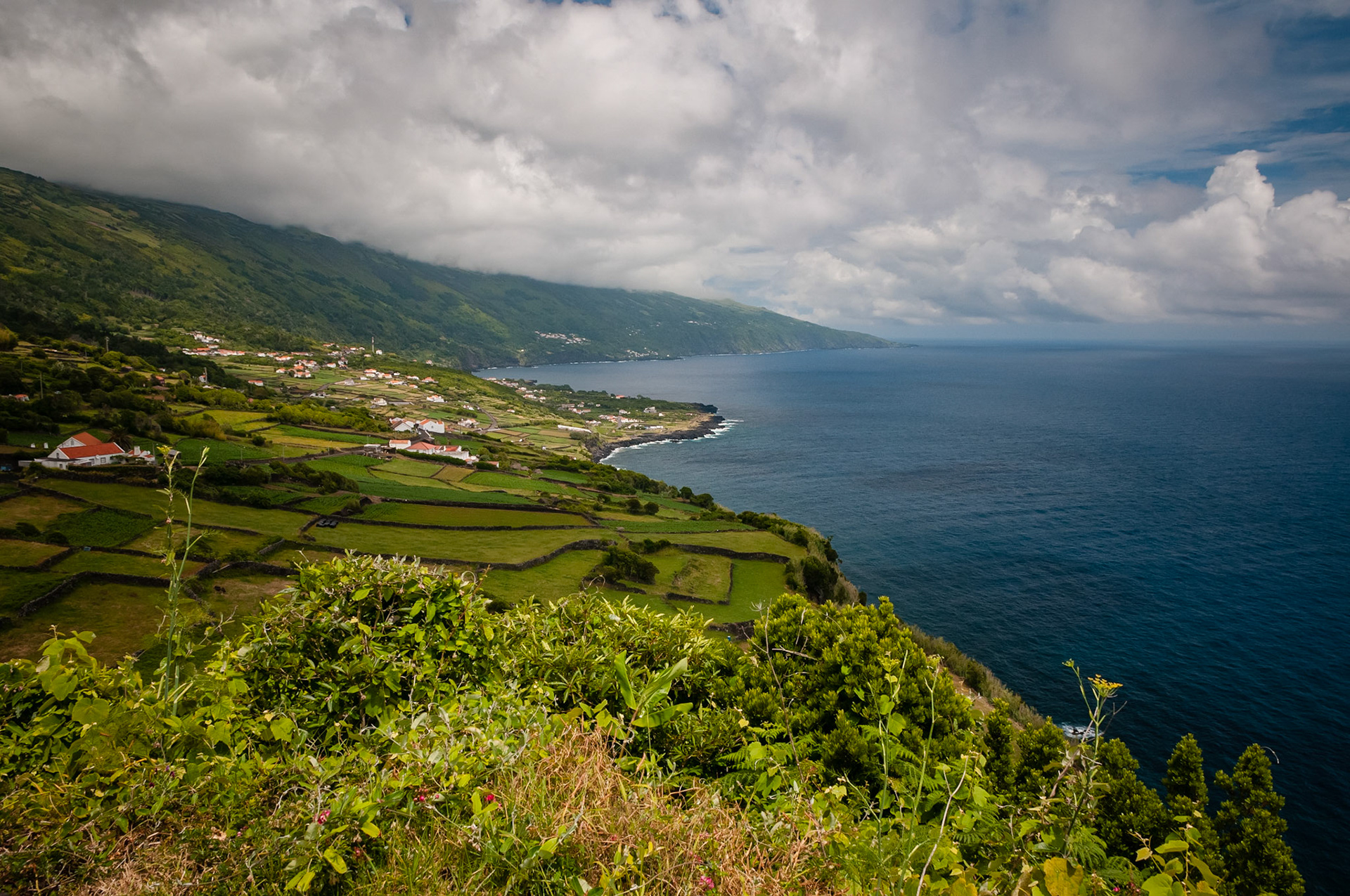 Ponta do Arife, Pico