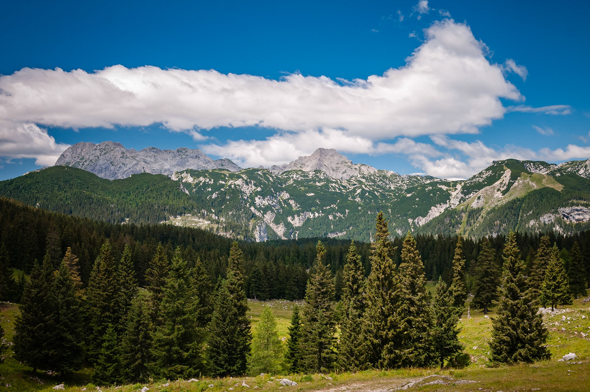 Velika Planina, Slovénie