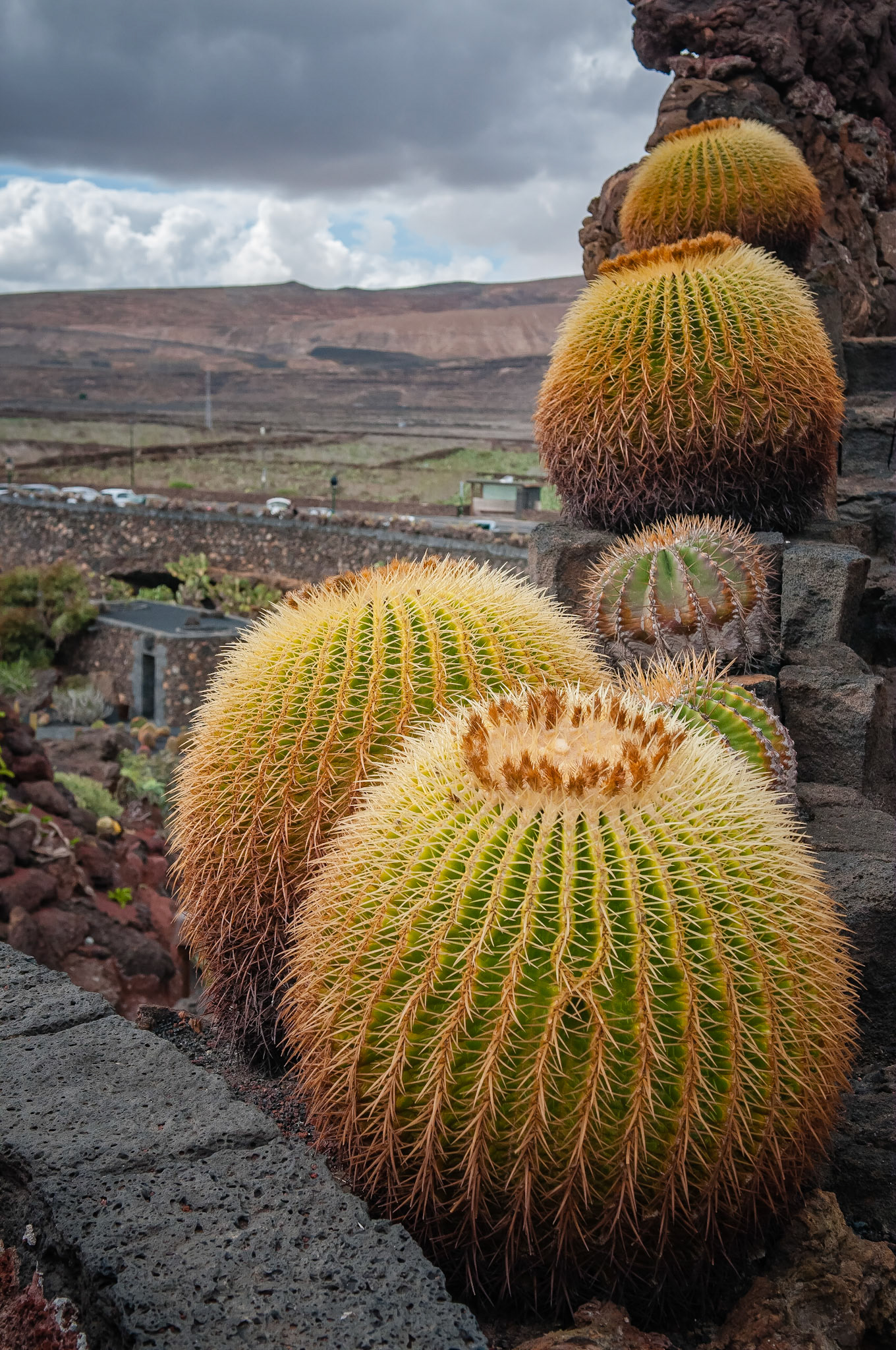 Jardin de Cactus, Lanzarote