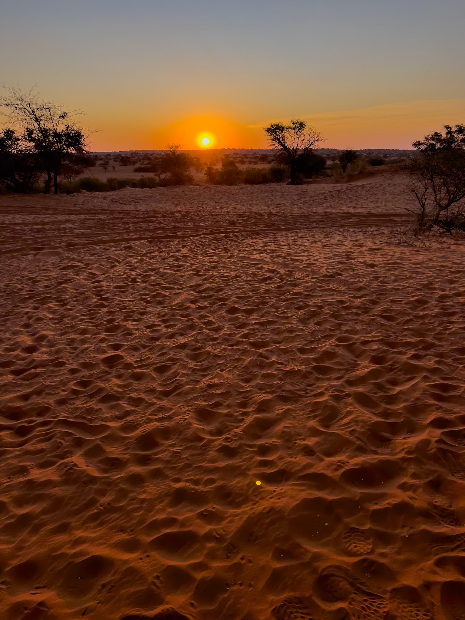 Bagatelle Kalahari Game Ranch, Mariental