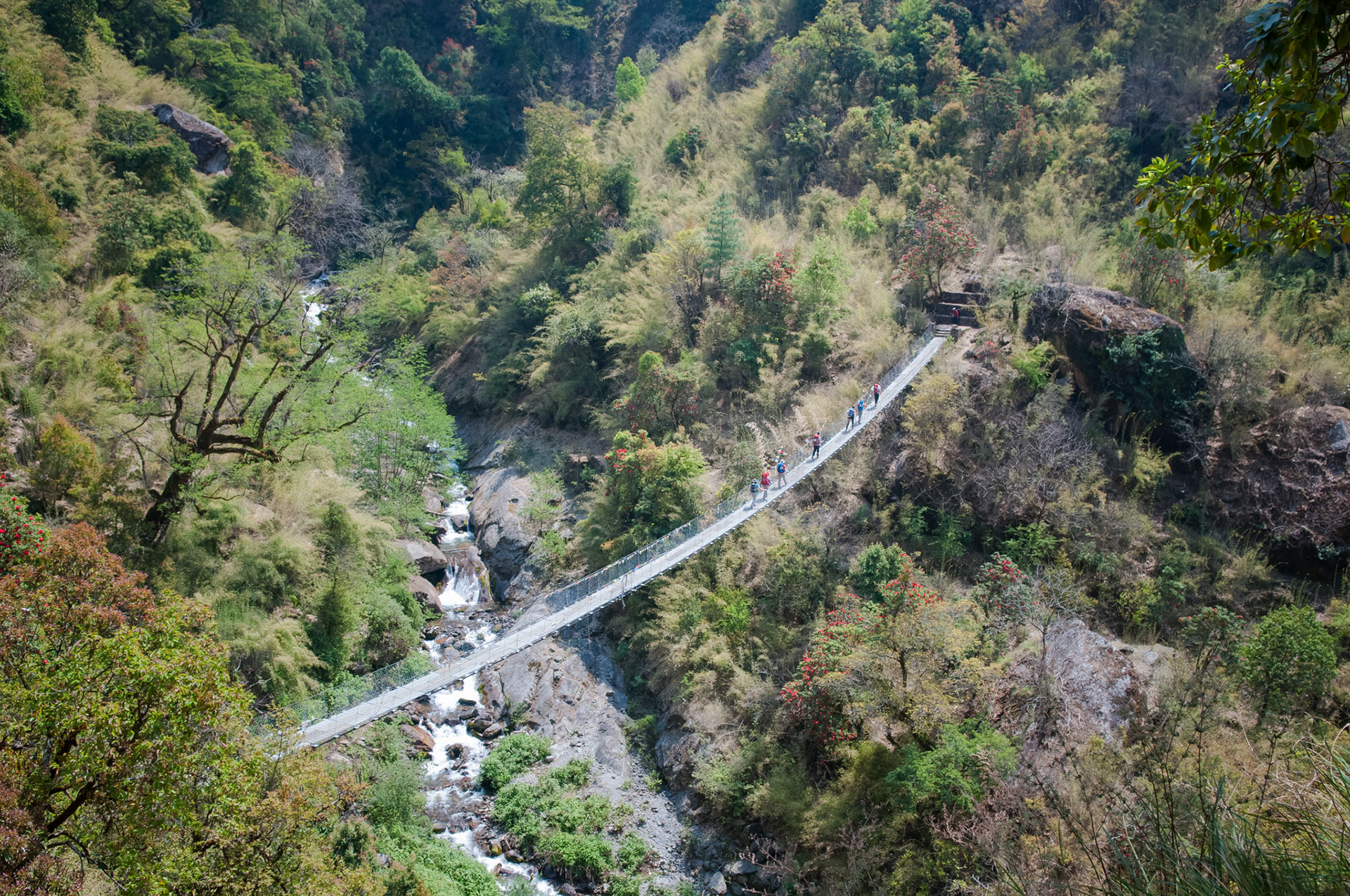 Entre Lama Hotel (2410m) et Thulo Syabru (2210m)