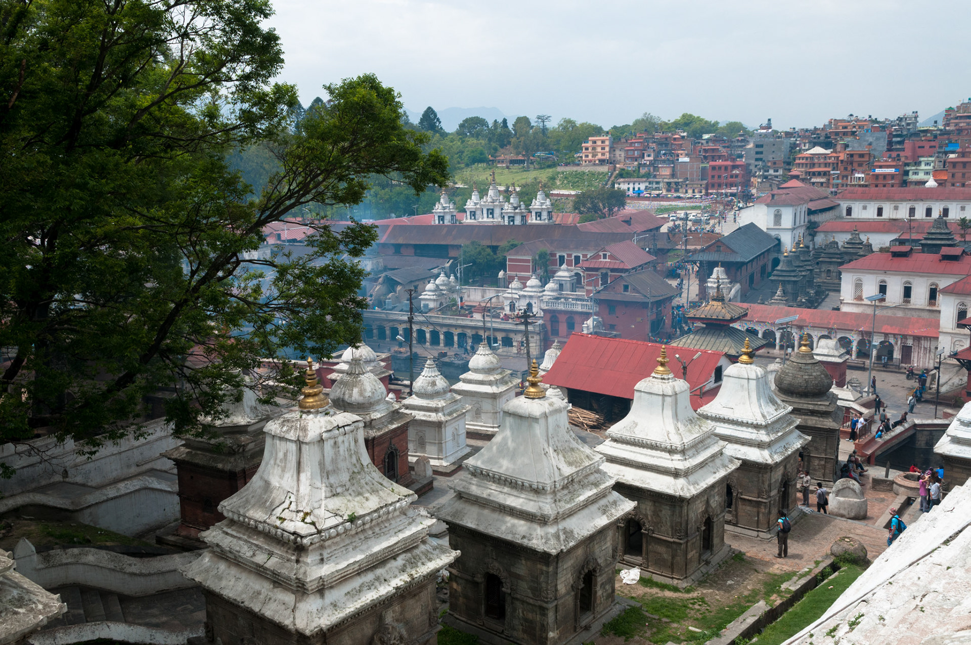 Temple hindou de Pashupatinath, Kathmandou