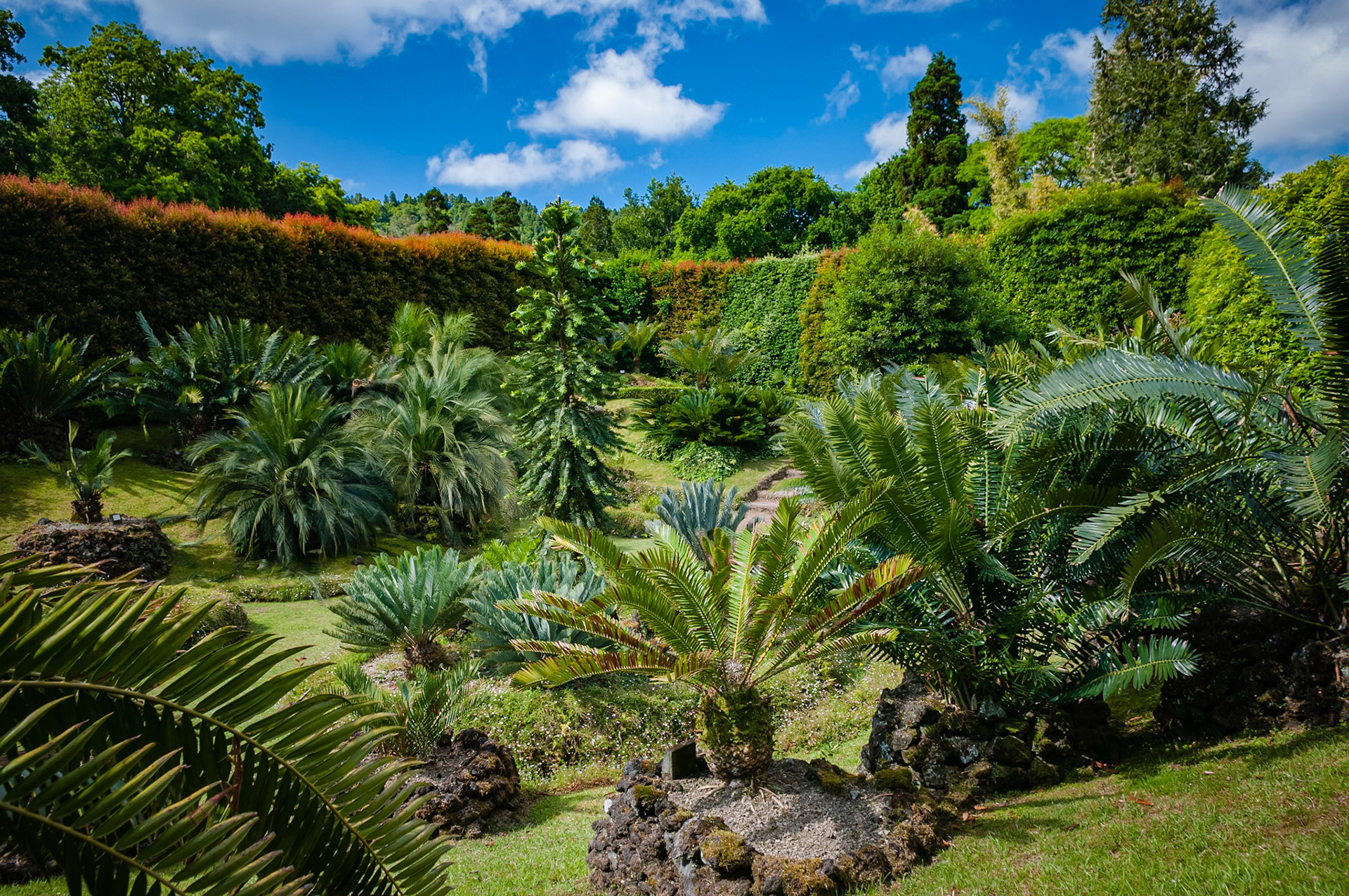 Parc Terra Nostra, Furnas, São Miguel