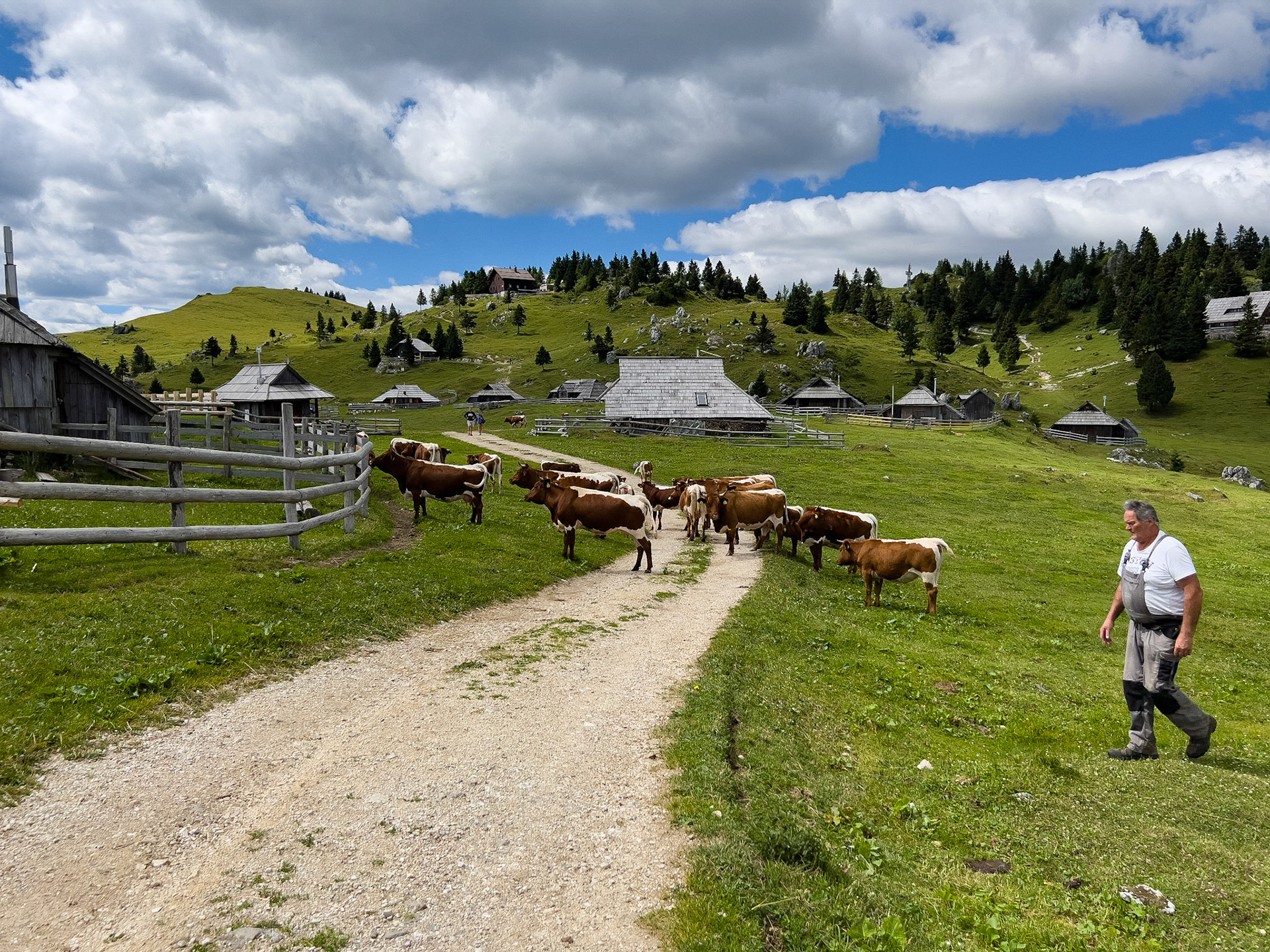 Velika Planina, Slovénie