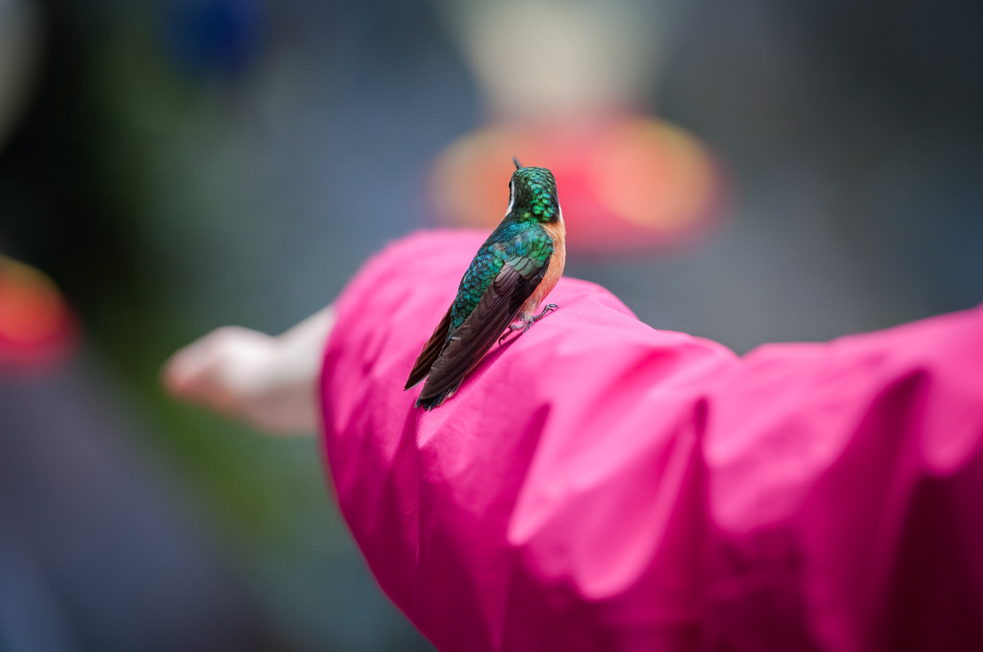 Selvatura Adventure Park, Santa Elena